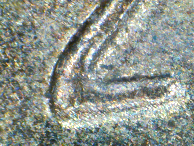 Pic 21.jpg
