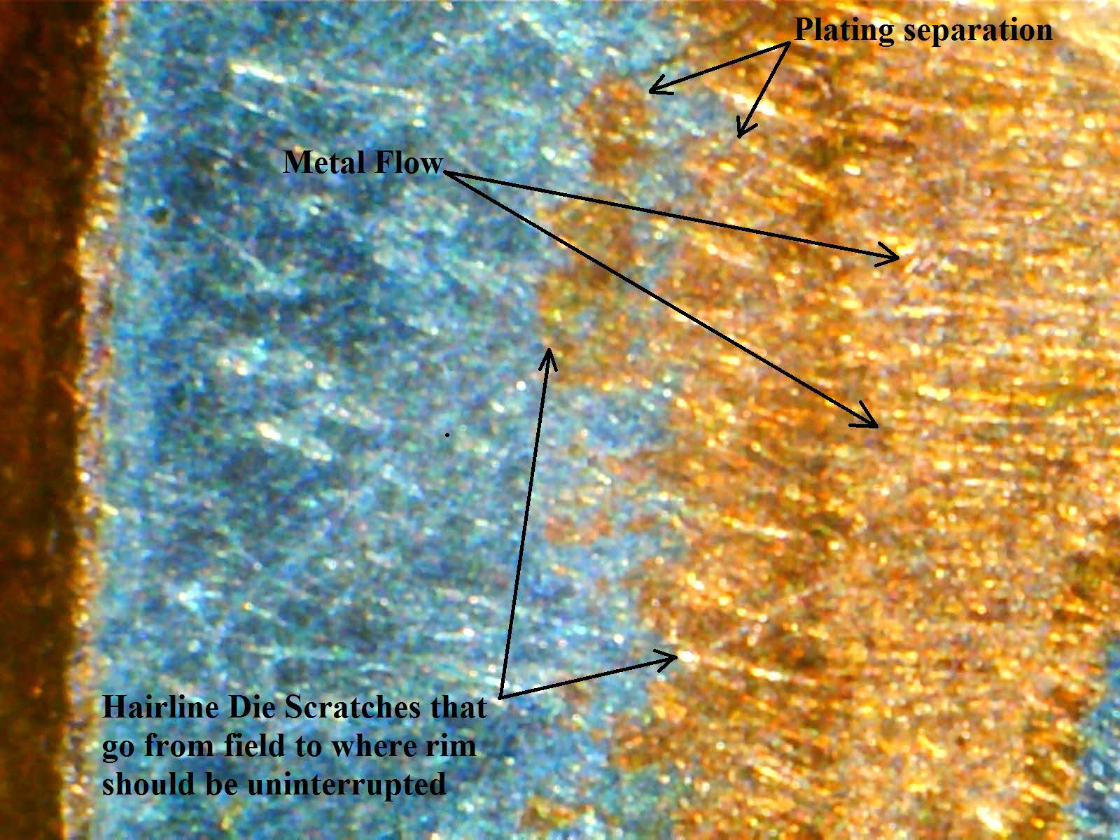 Pic 3.jpg