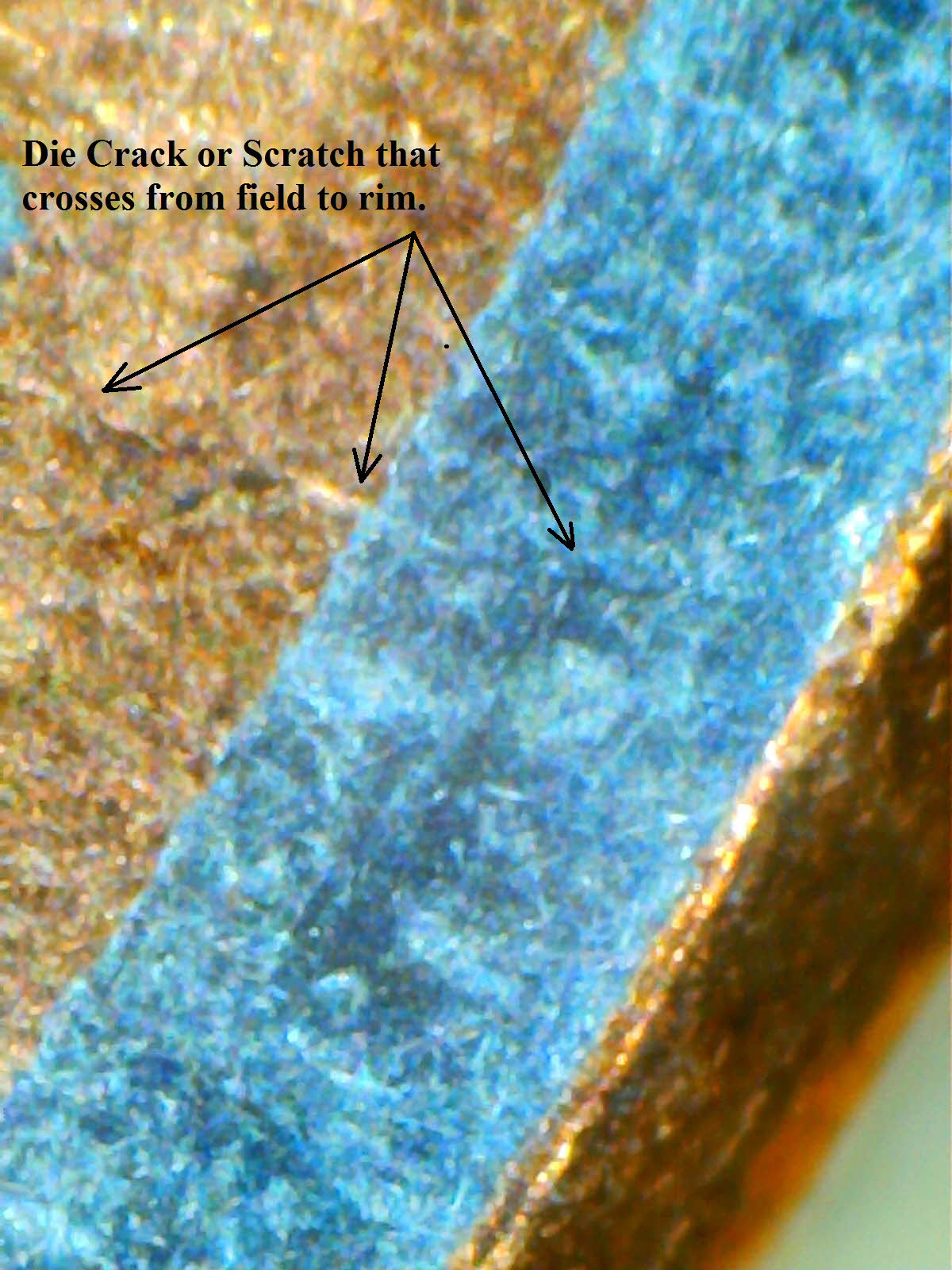 Pic 4.jpg