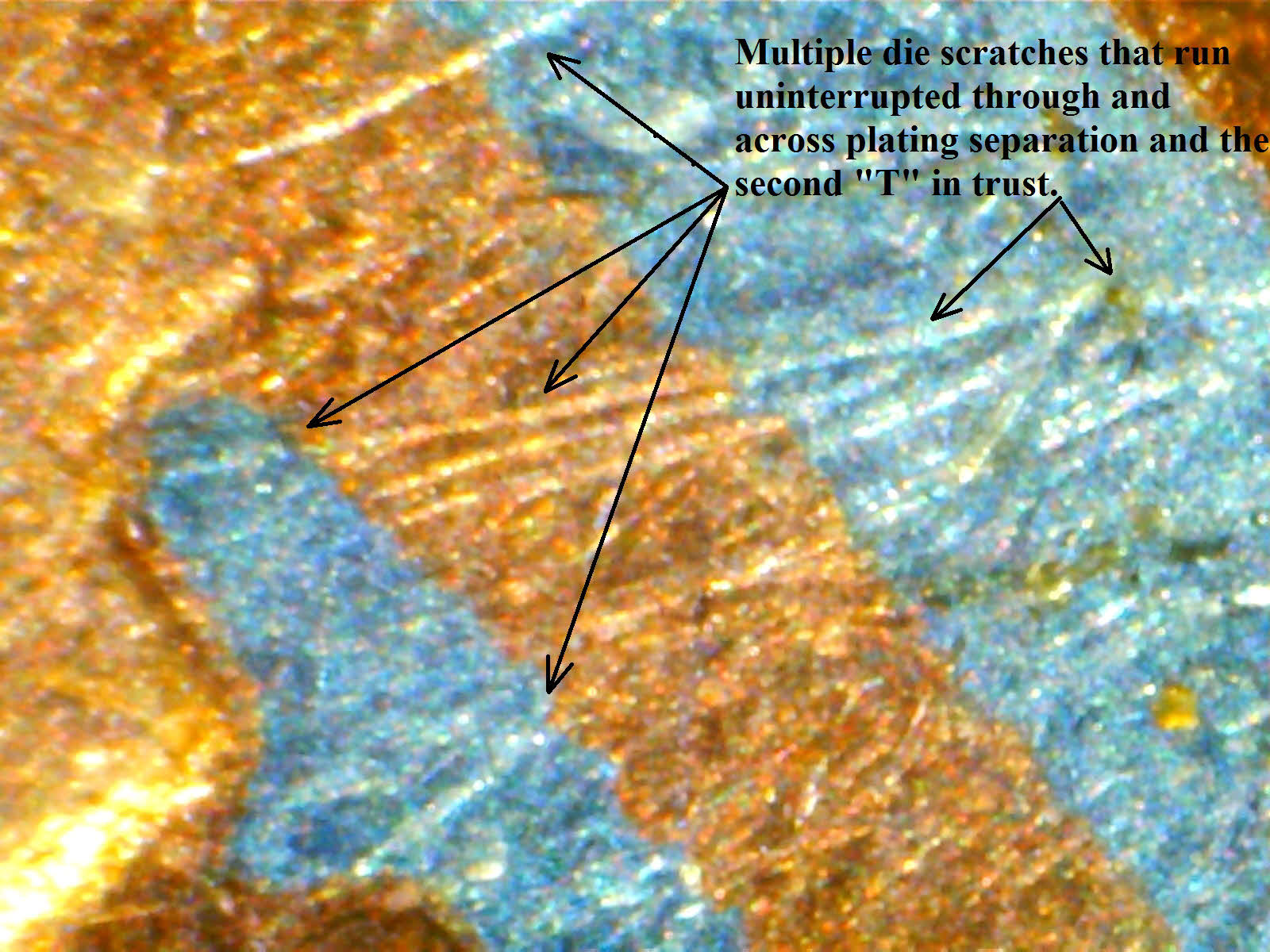Pic 5.jpg