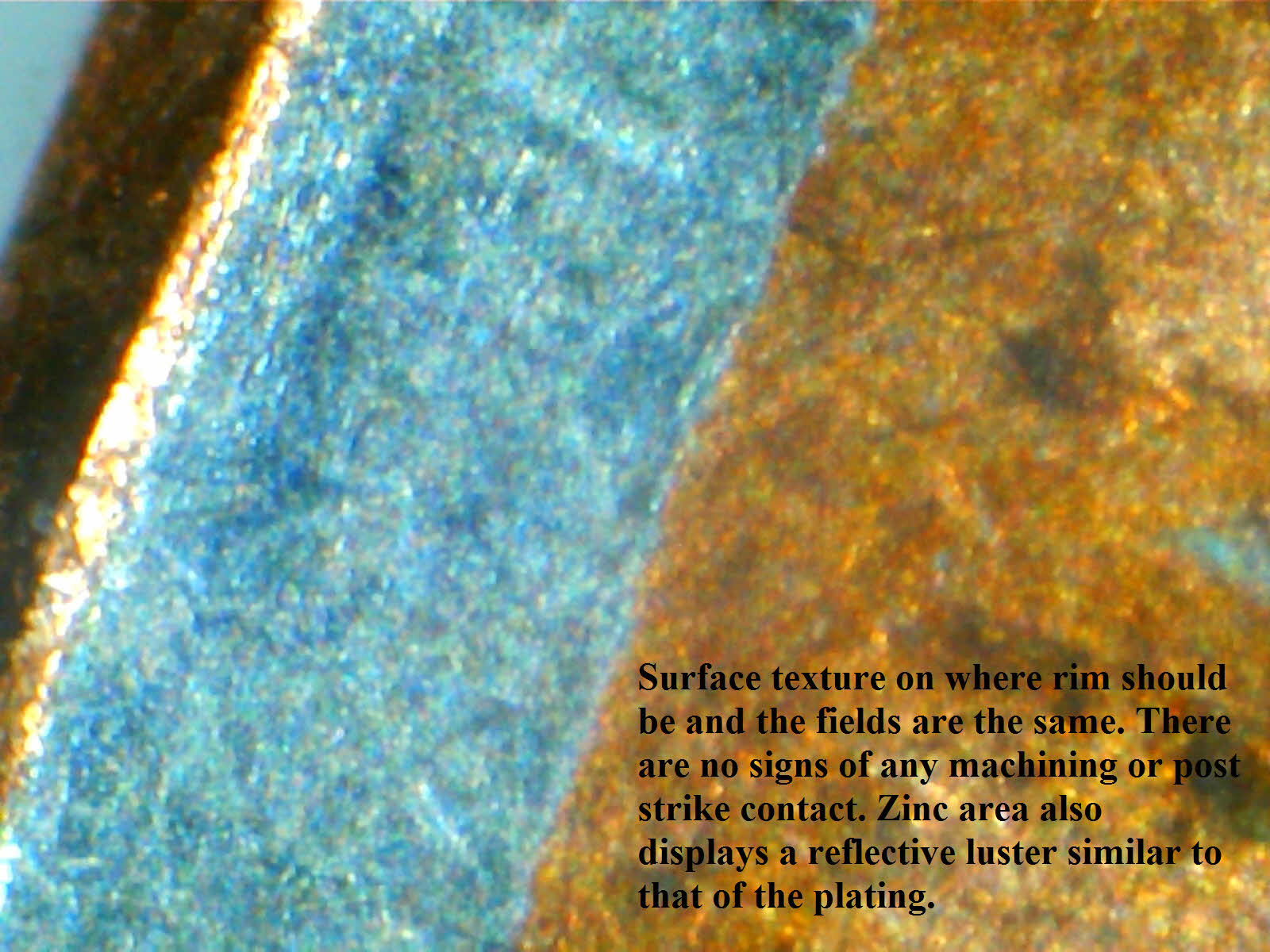 Pic 7.jpg