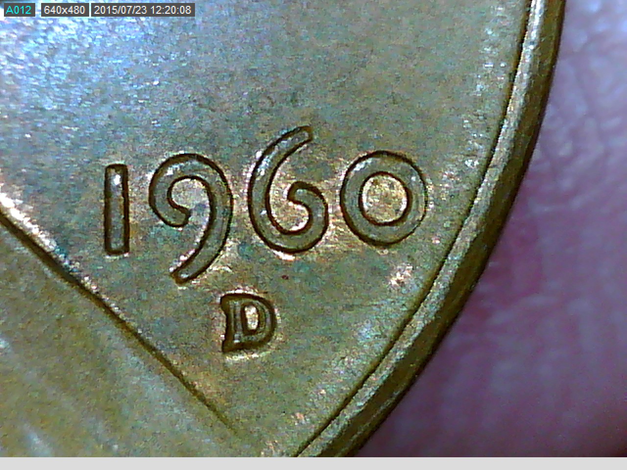 pic10.jpg