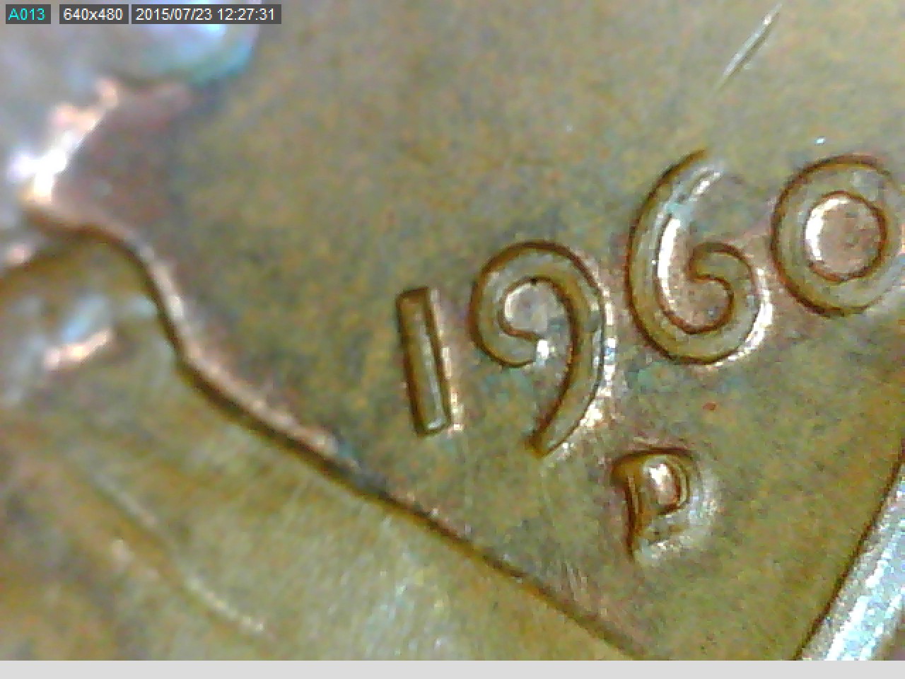 pic11.jpg