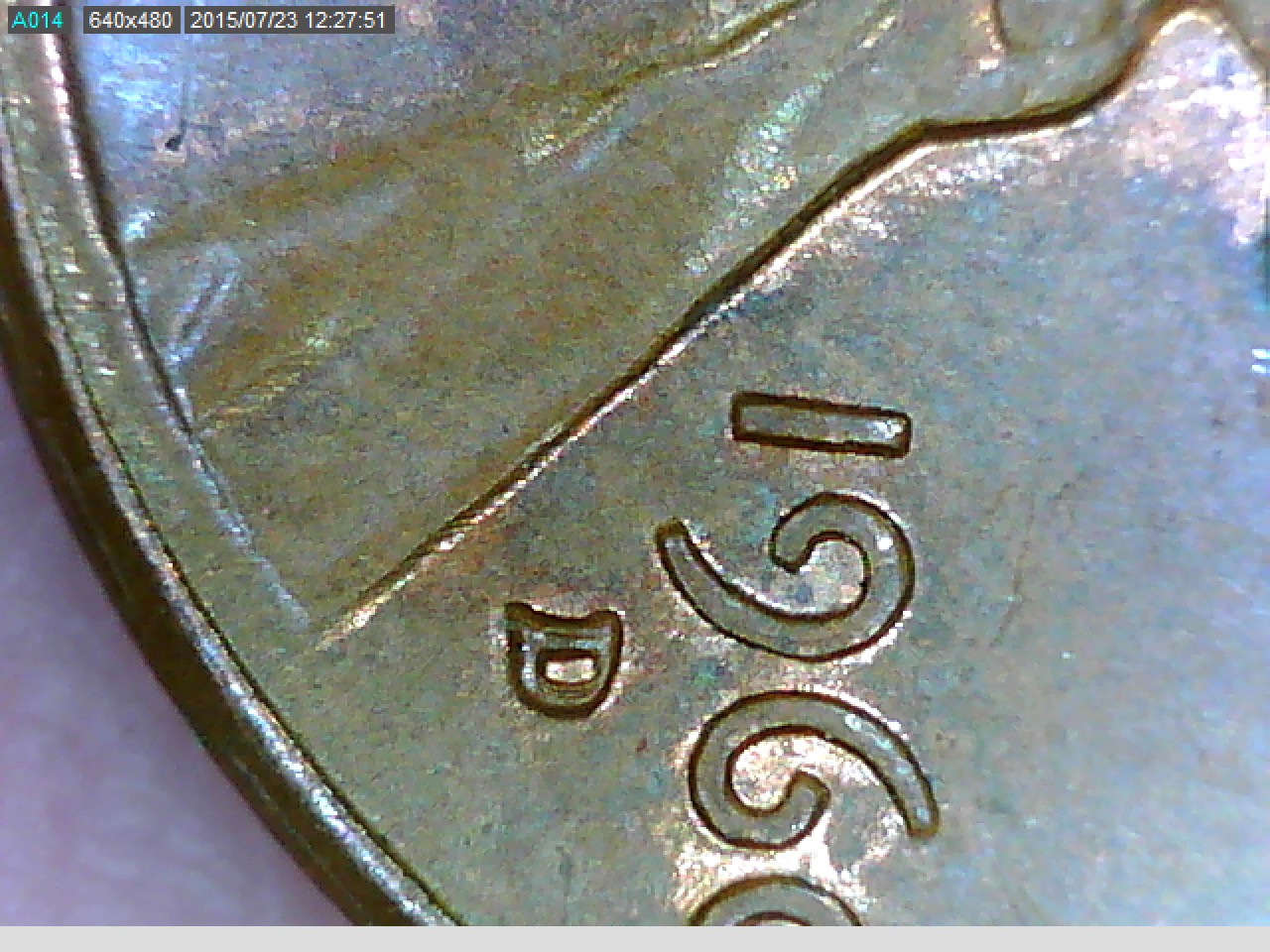 pic12.jpg