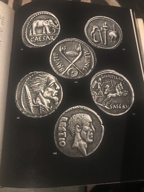 pic2.jpg