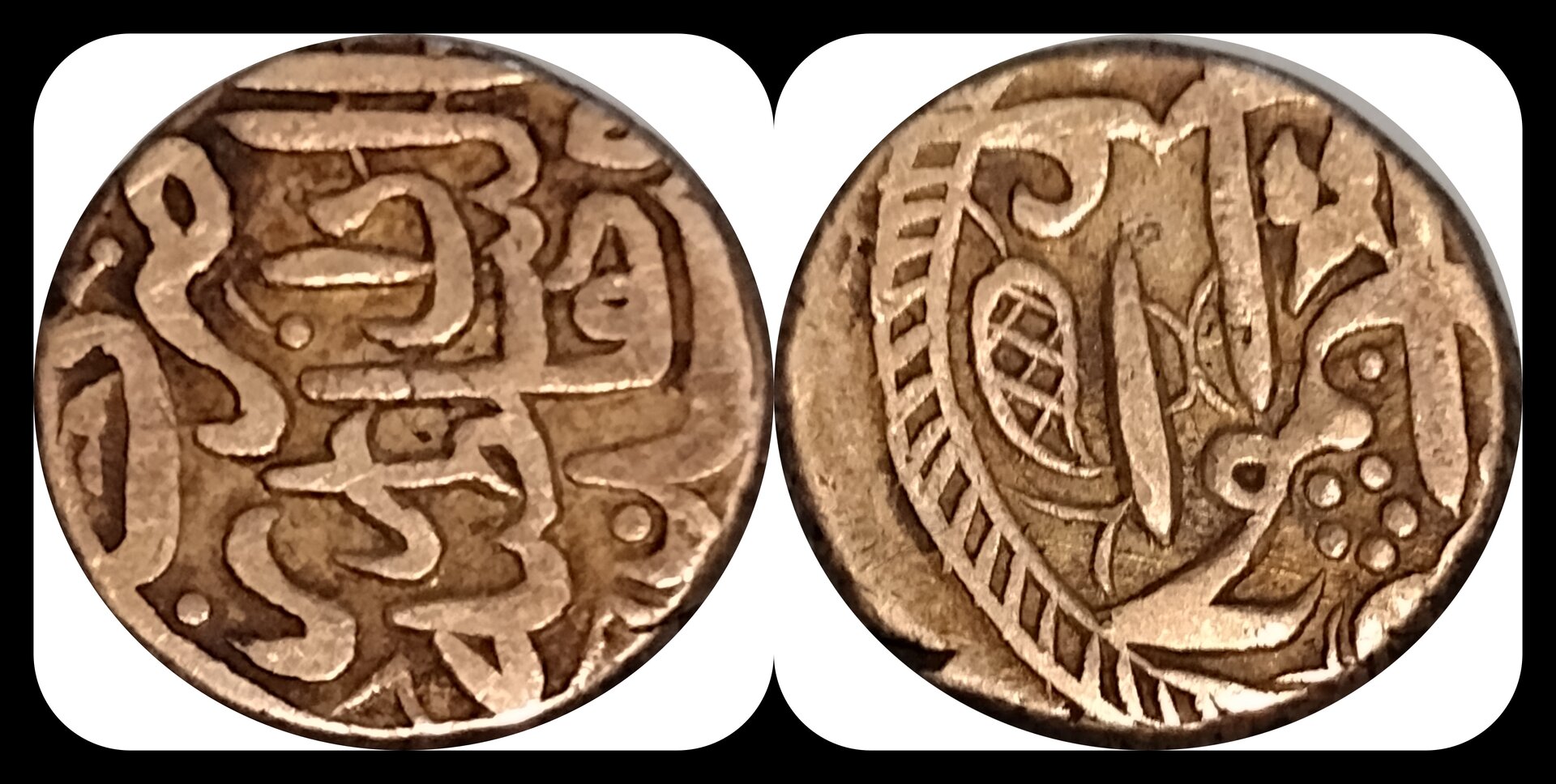 PIC2-side.jpg