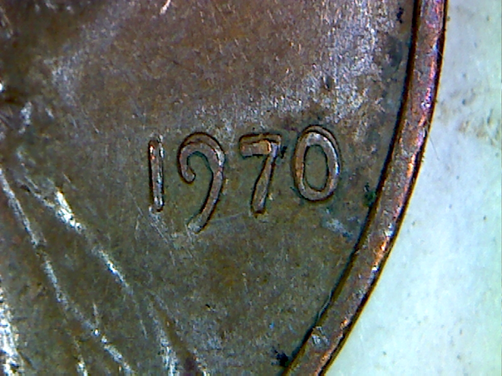 pic3.jpg