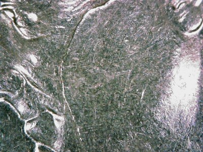 Pic3.jpg