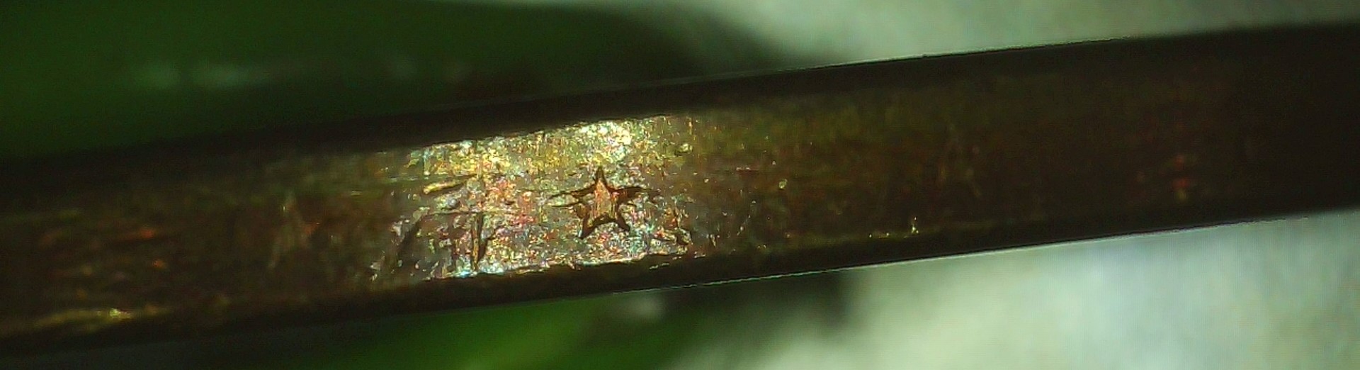 PICA0001.jpg