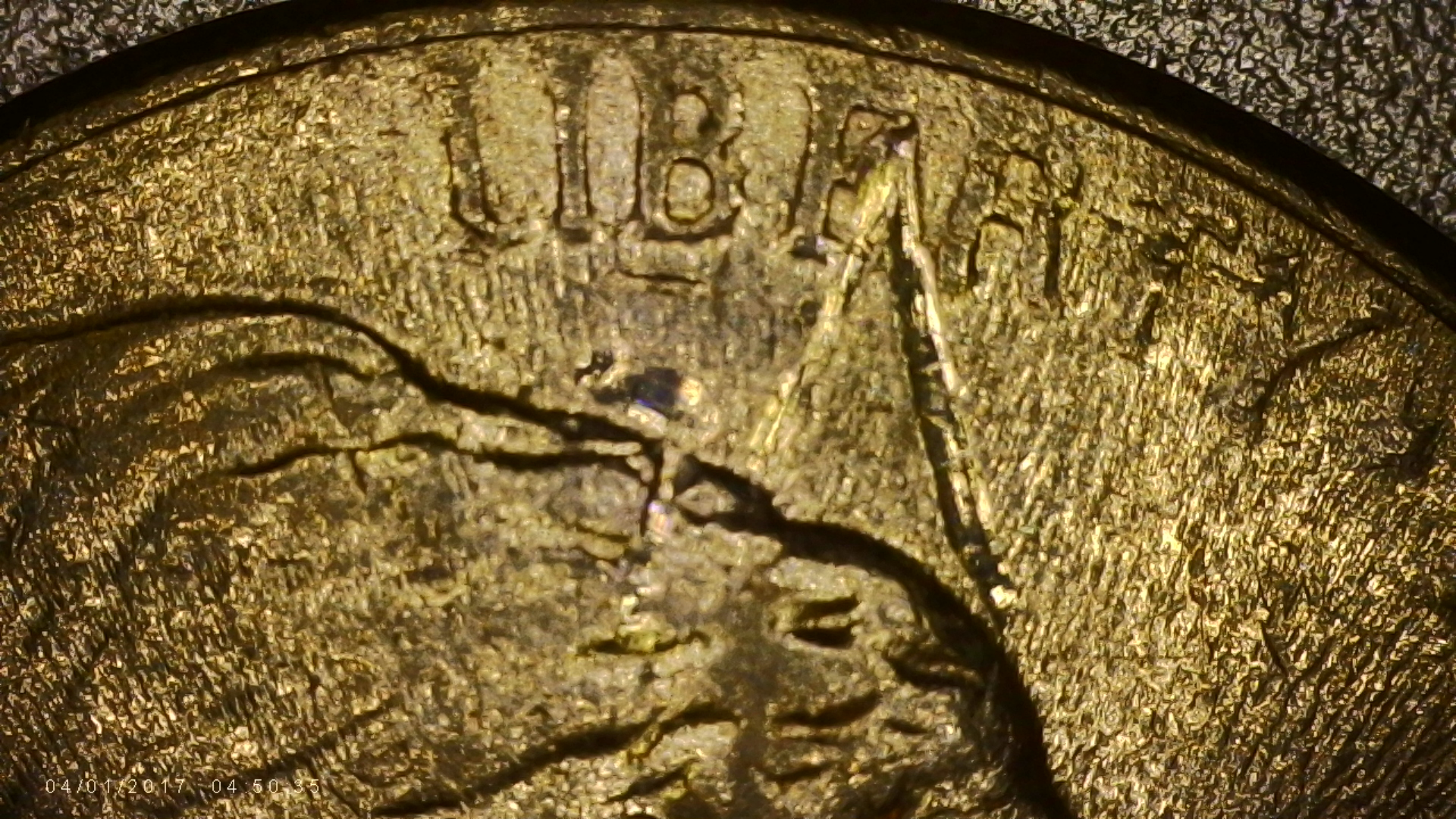 PICA0002.jpg