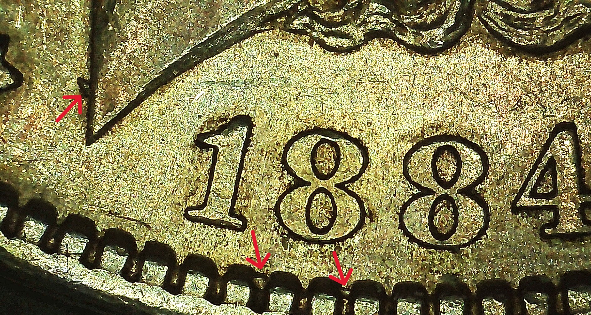 PICA0003.jpg