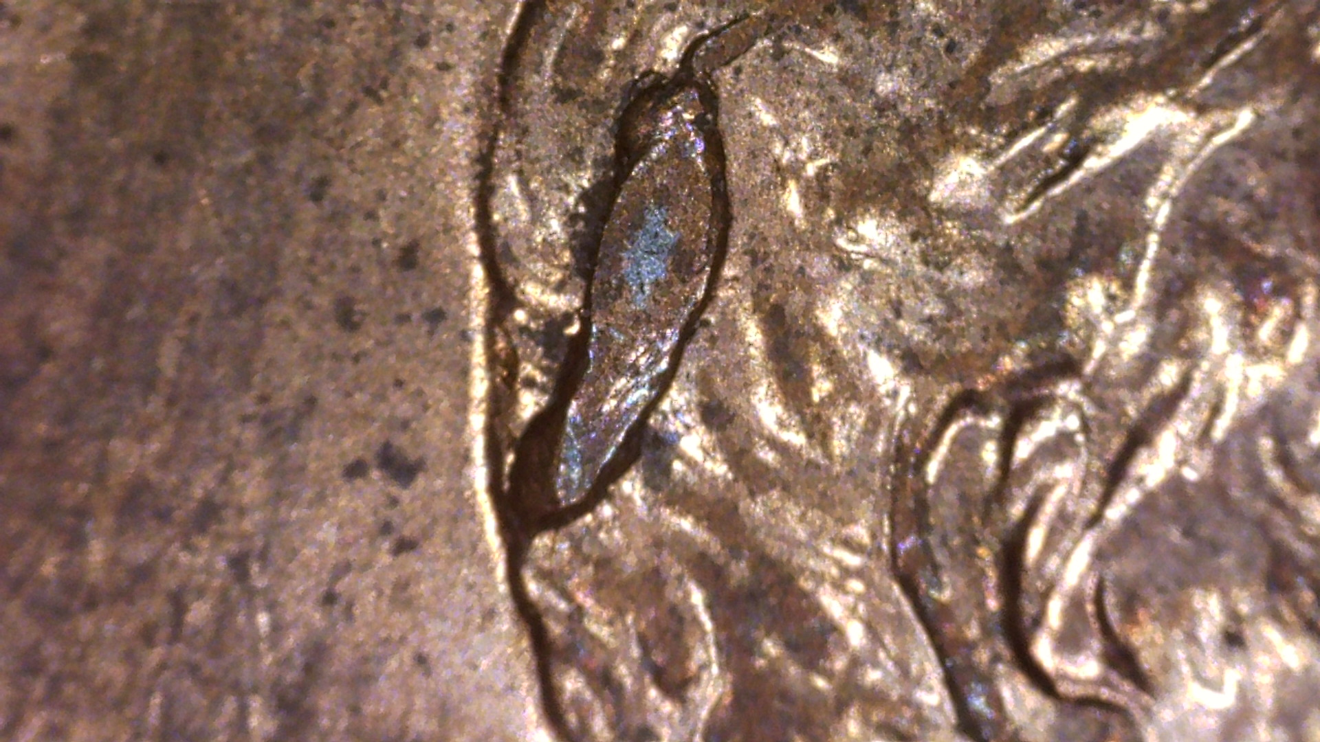 PICA00036.jpg