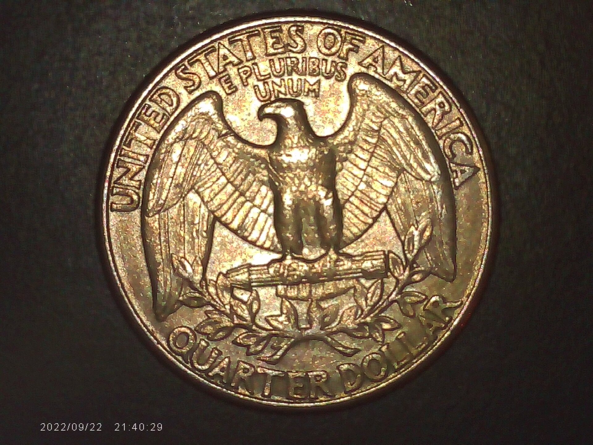 PICA0005.jpg