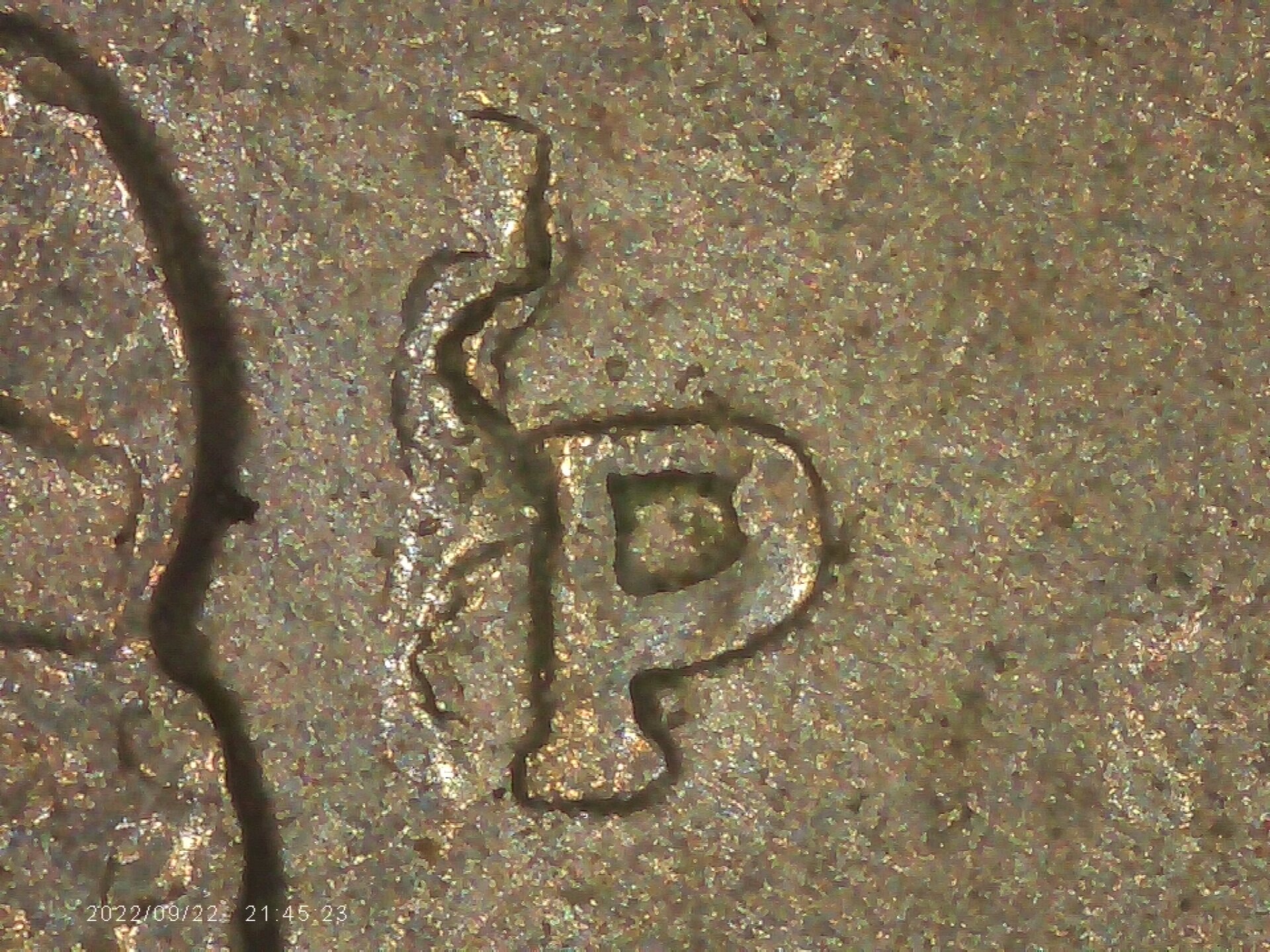 PICA0006.jpg