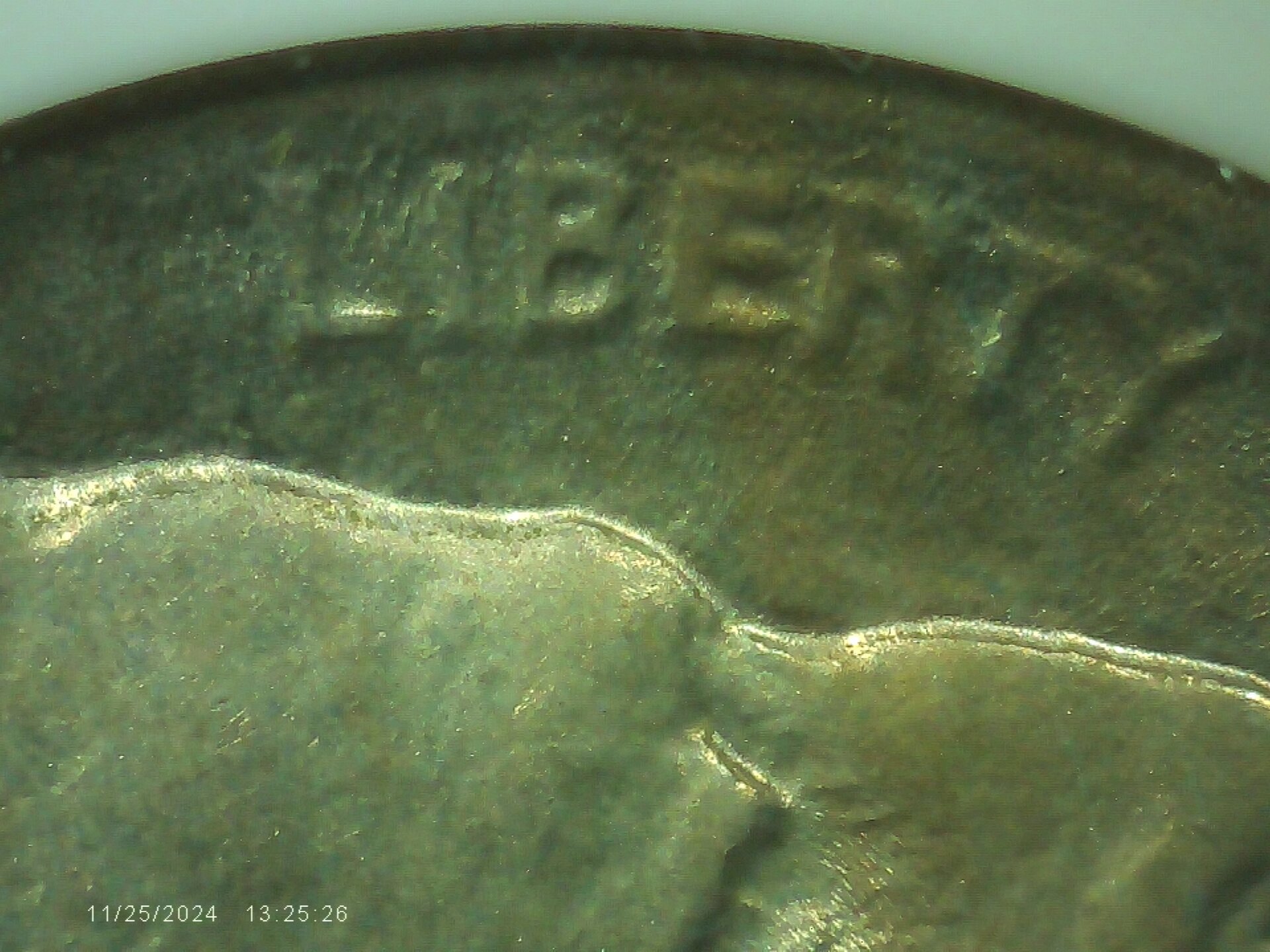 PICA0006.jpg
