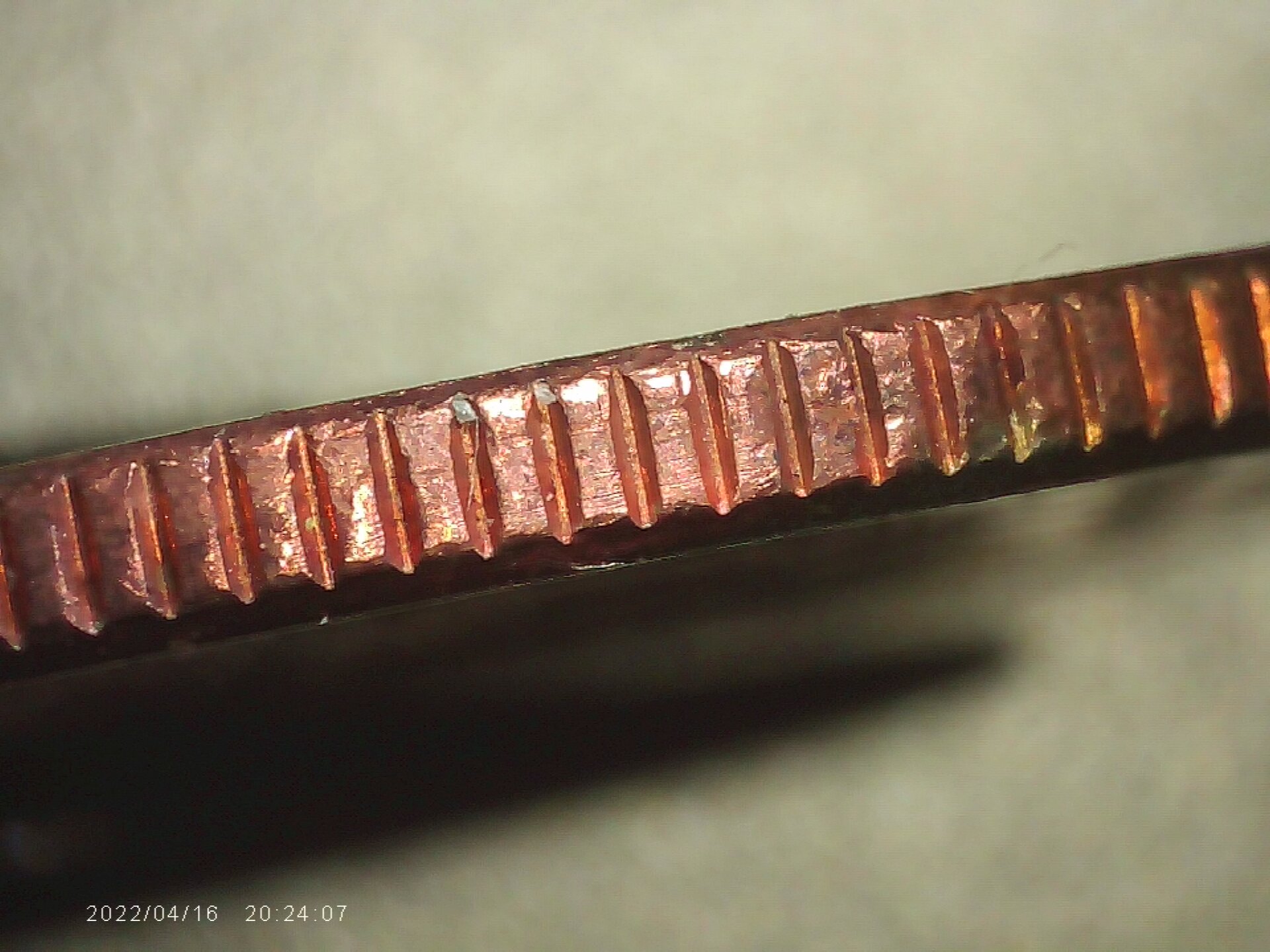 PICA0008.jpg