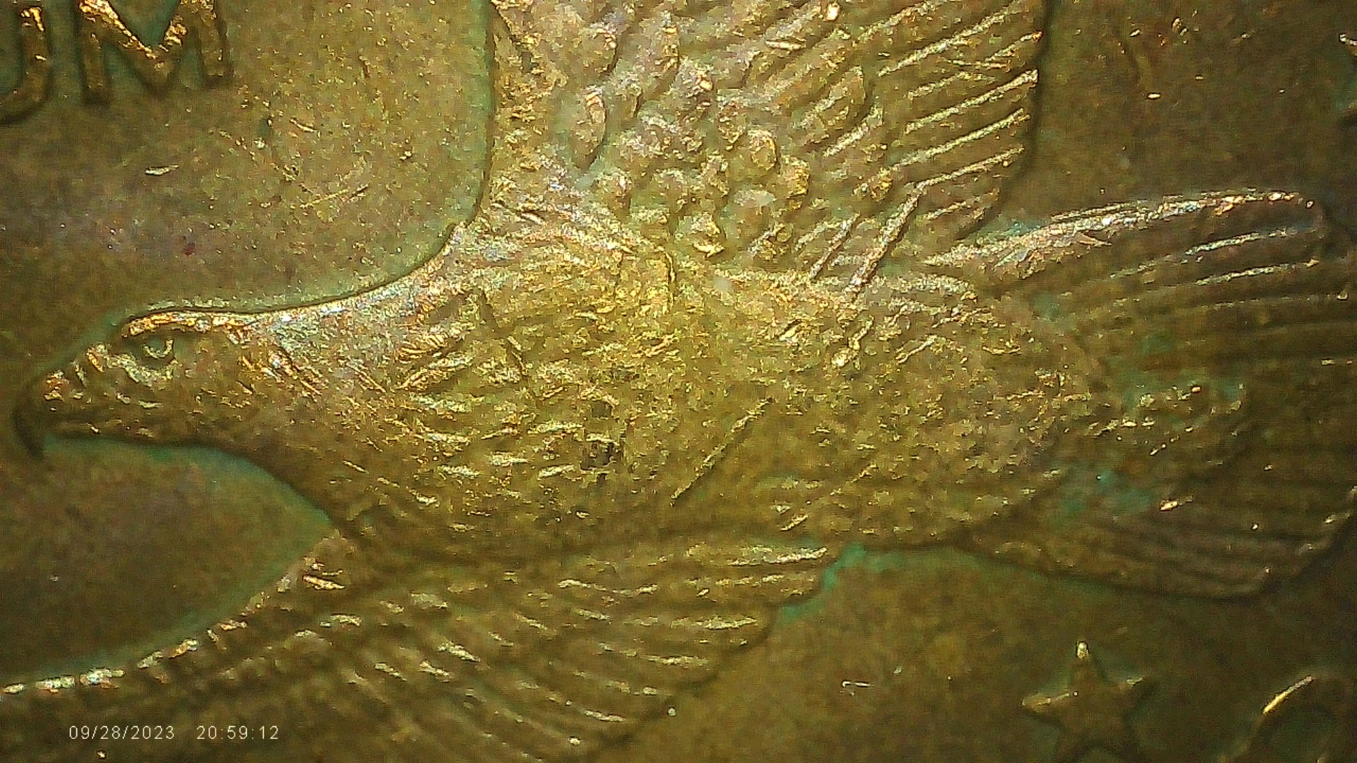 PICA0013.jpg