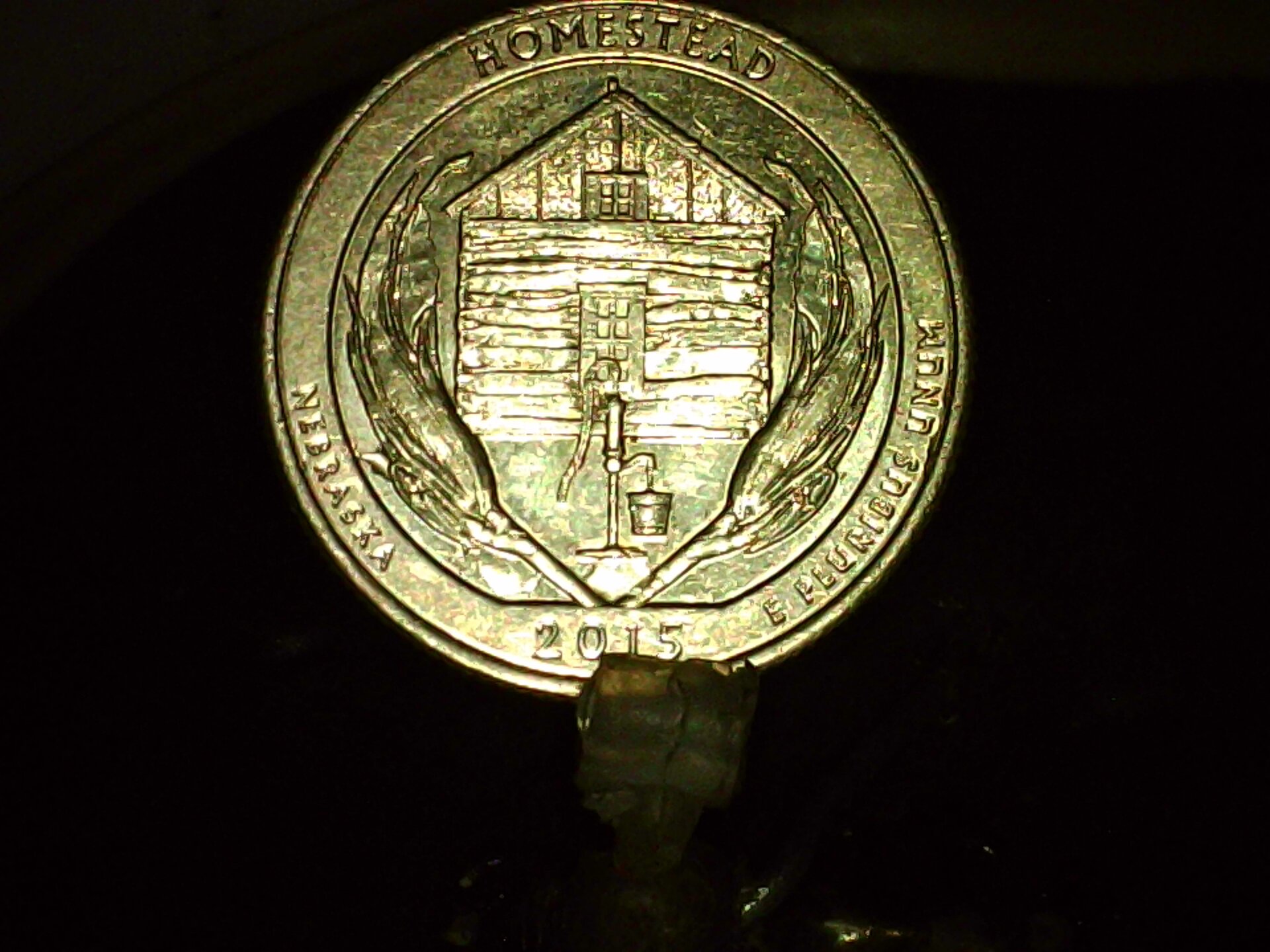 PICA0018.jpg