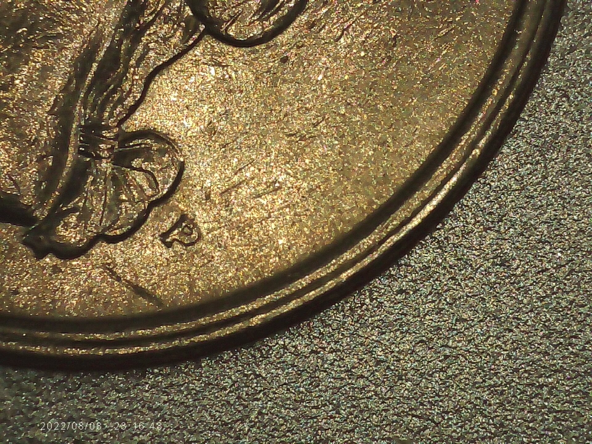 PICA0018.jpg