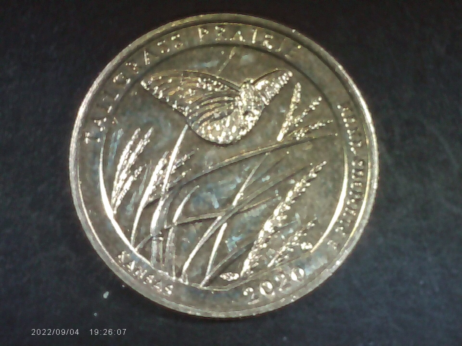 PICA0020.jpg