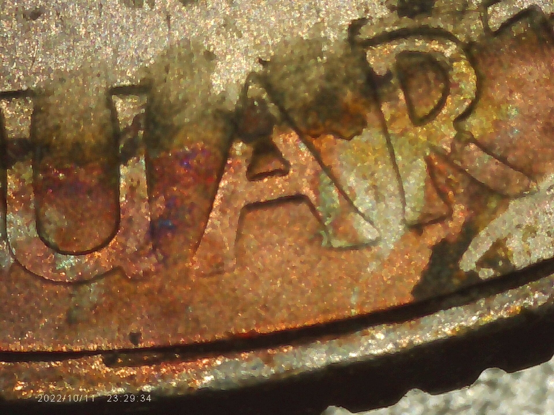 PICA0020.jpg