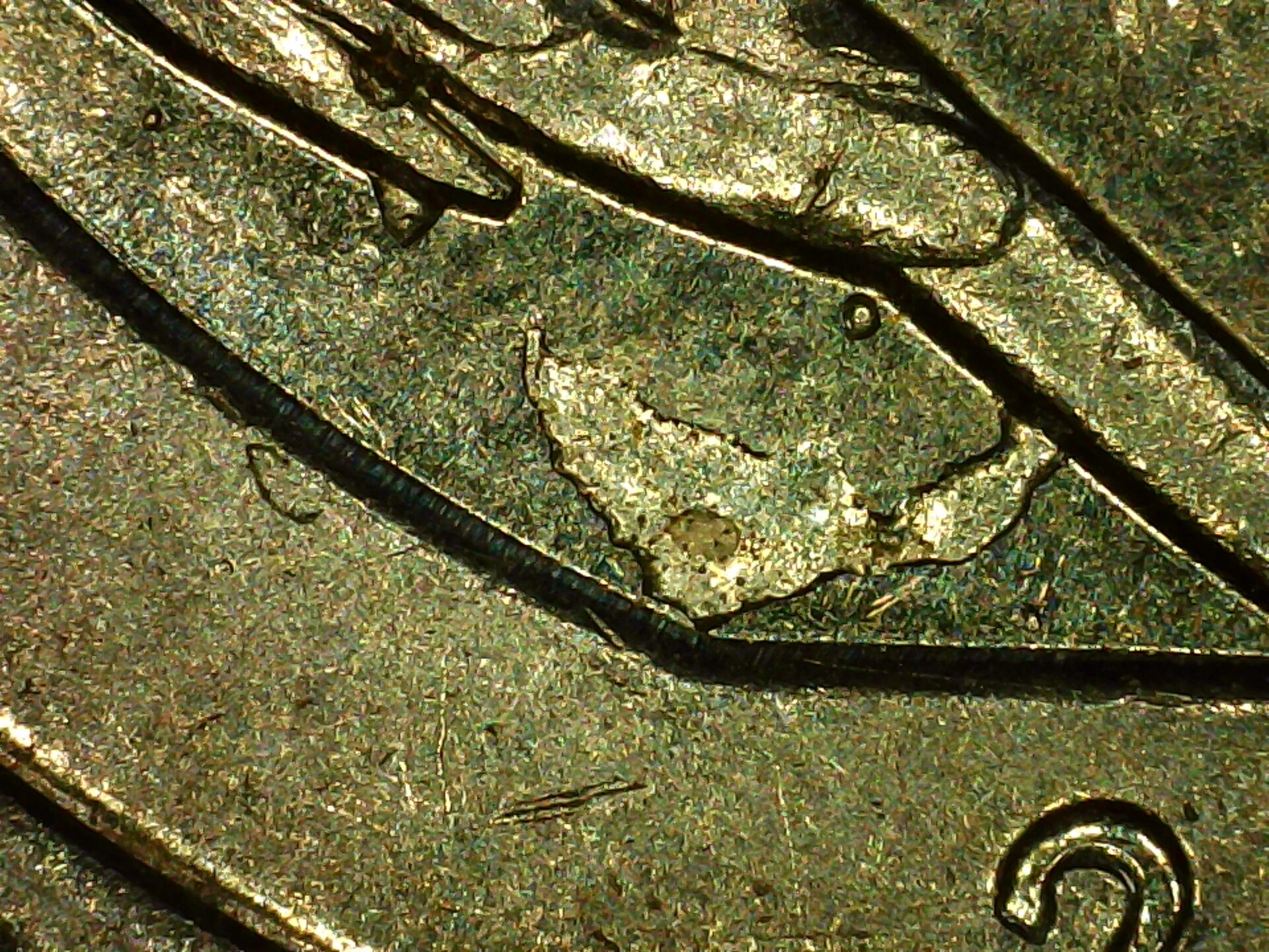 PICA0024.jpg