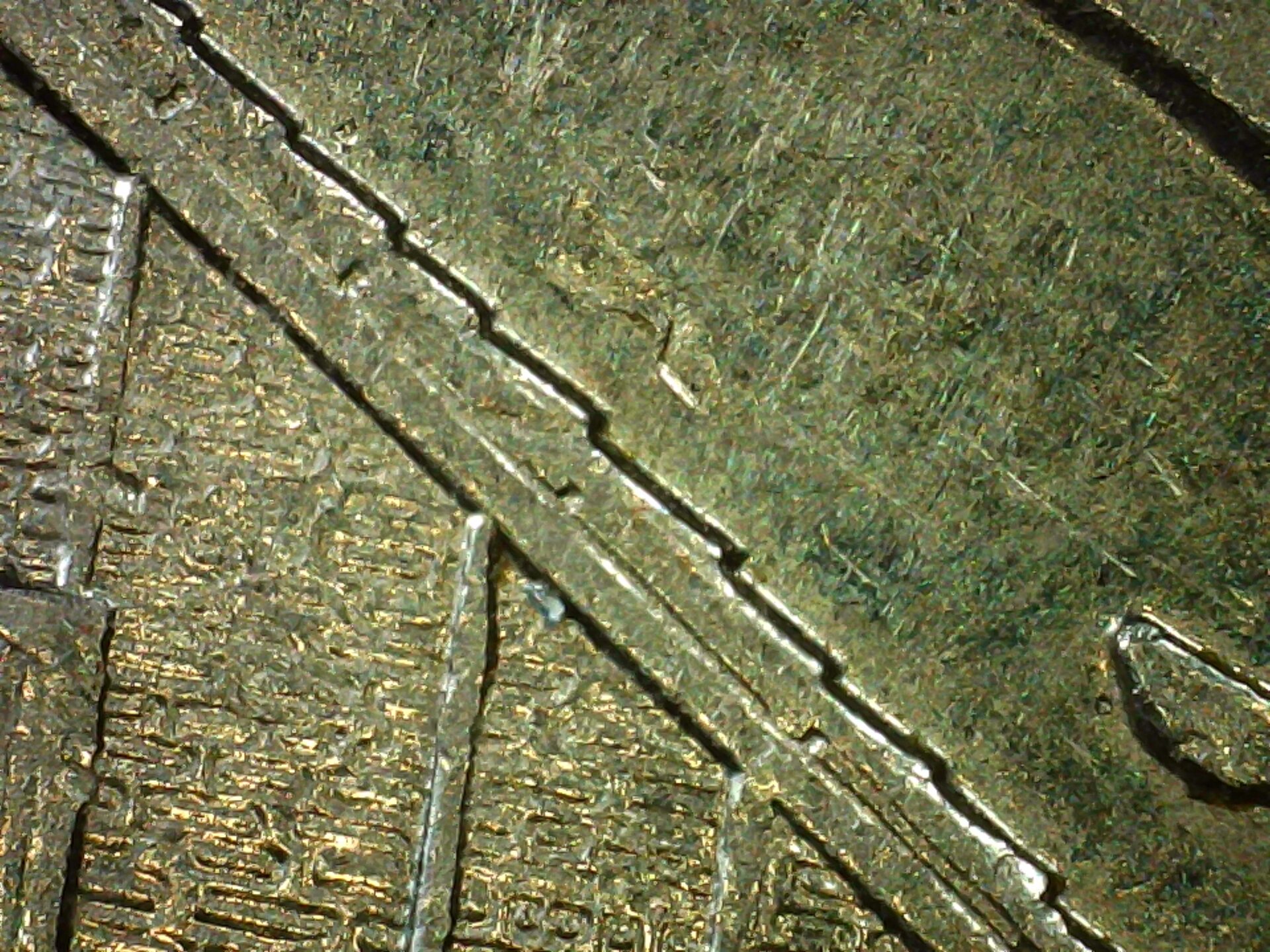 PICA0027.jpg