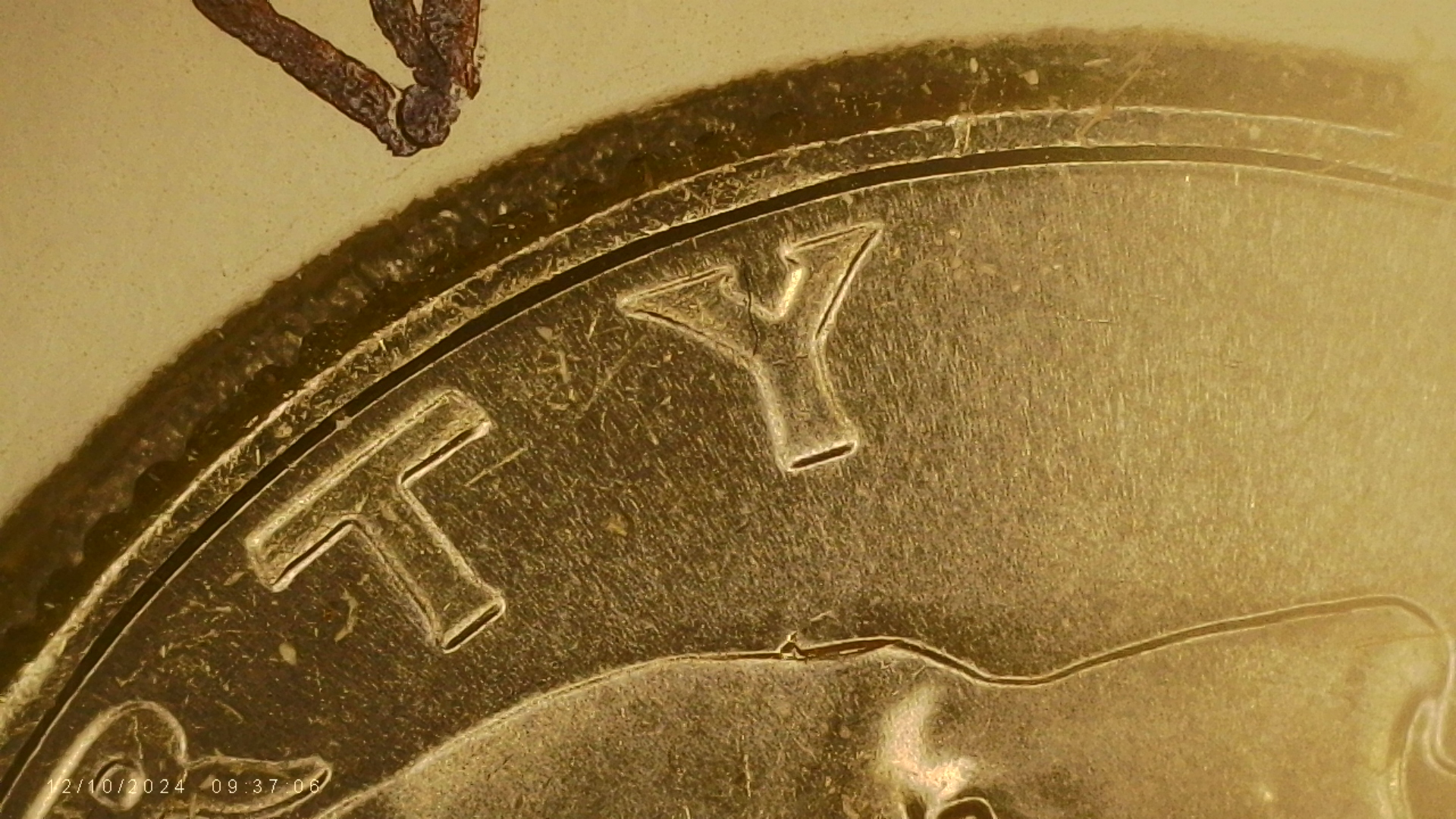 PICA0036.jpg