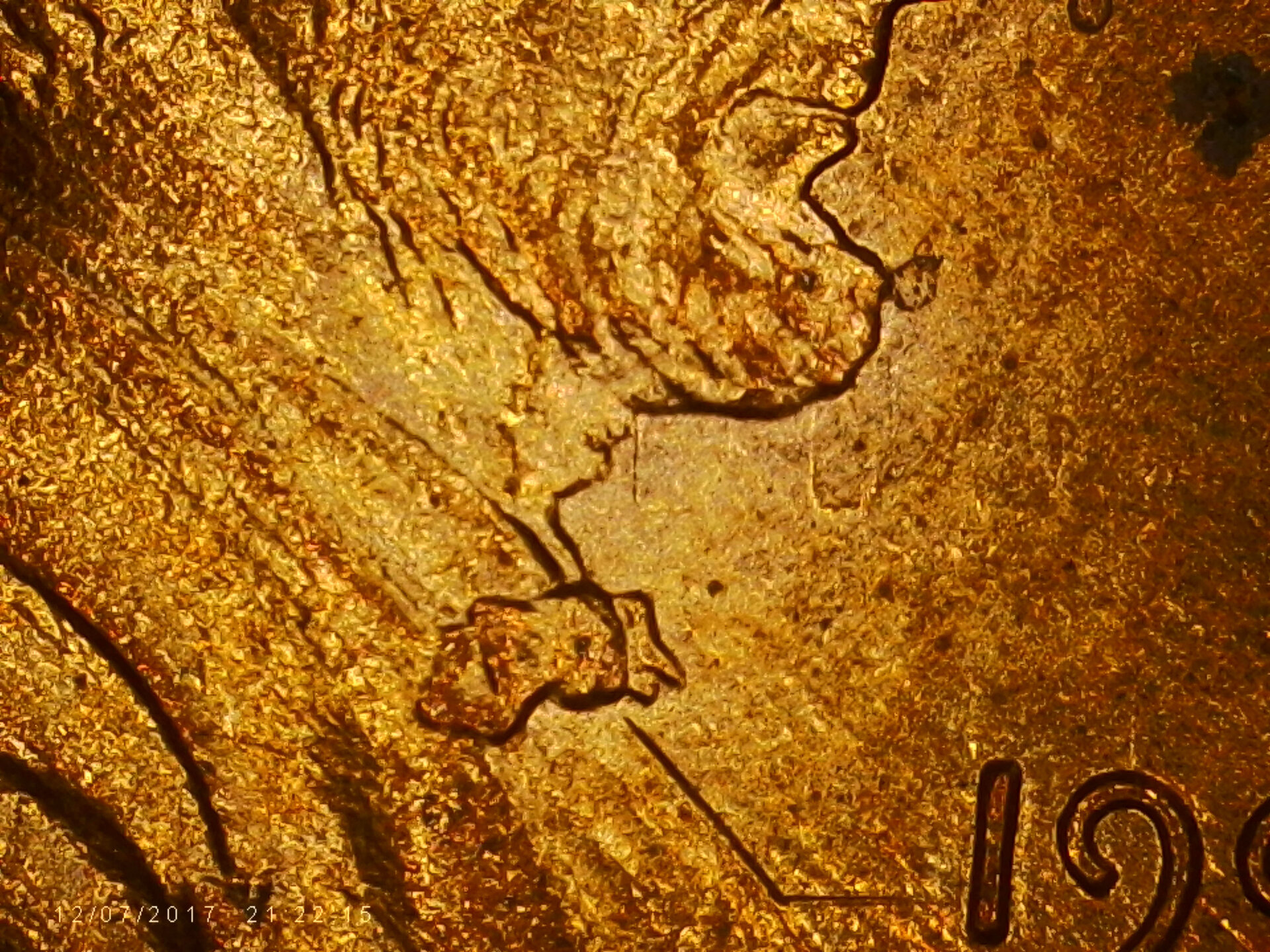 PICA0037.jpg