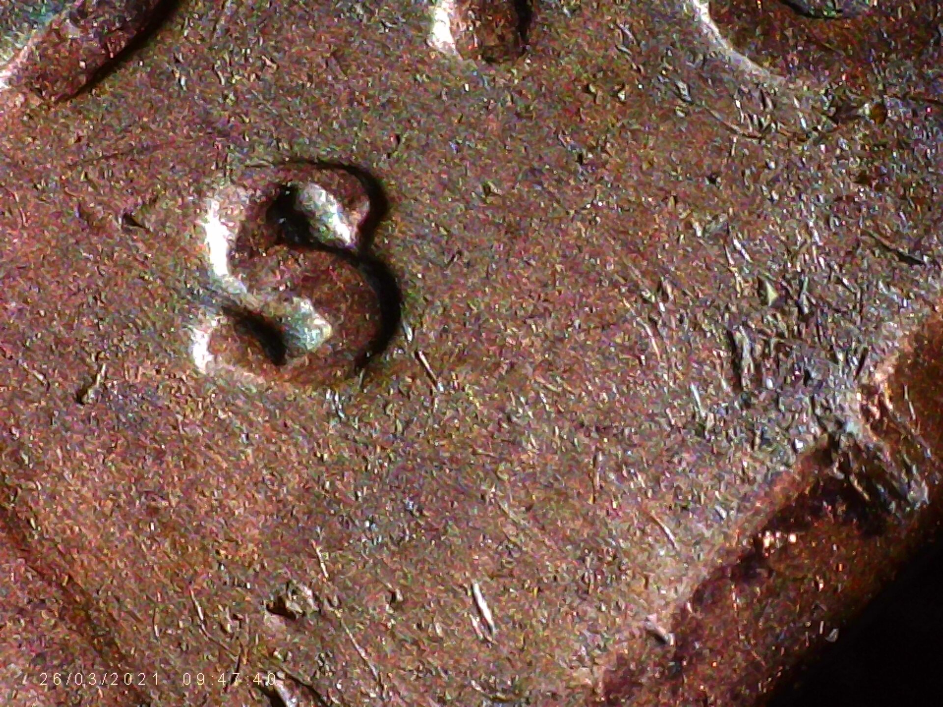 PICA0093.jpg