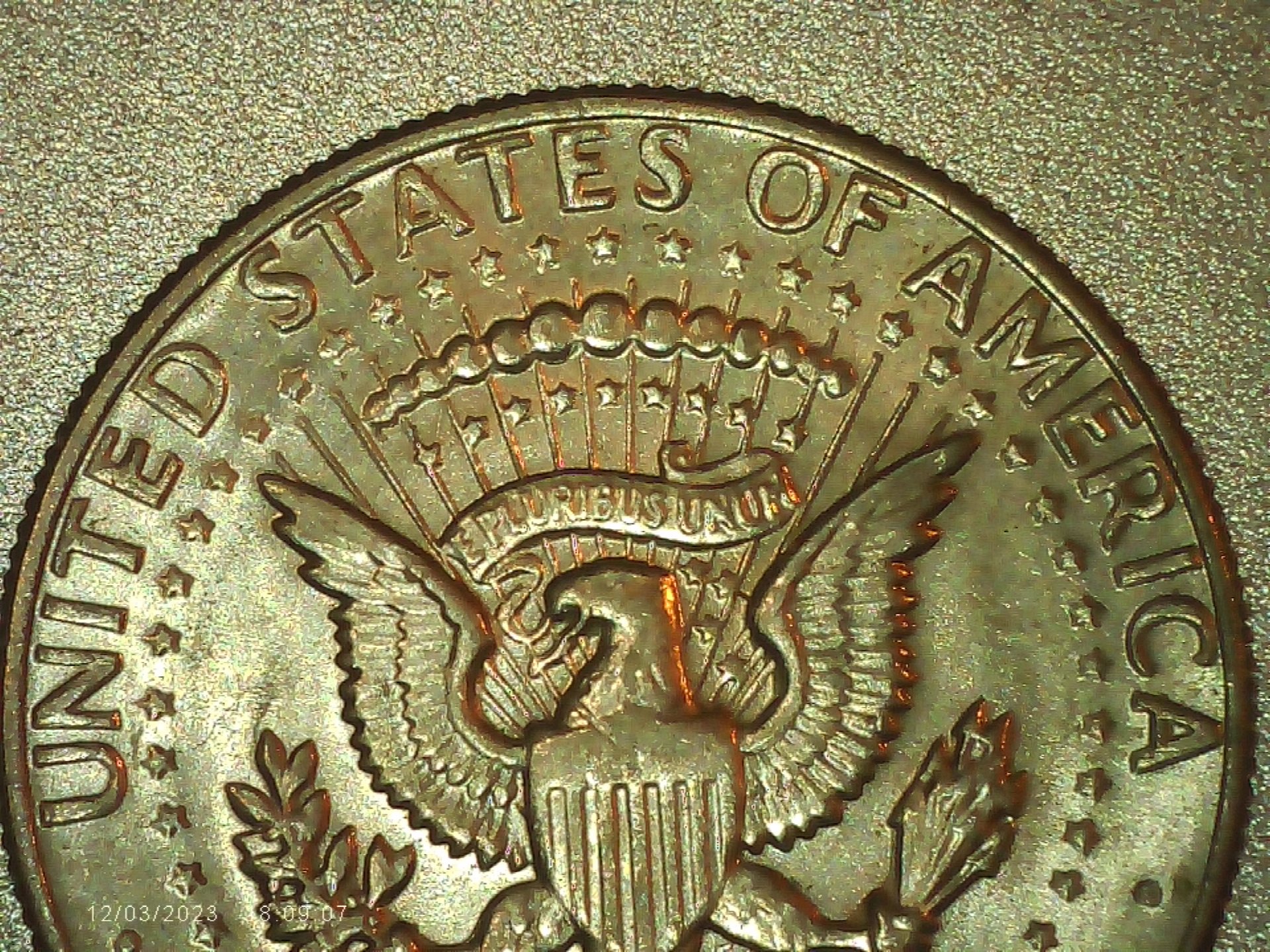 PICA0130.jpg