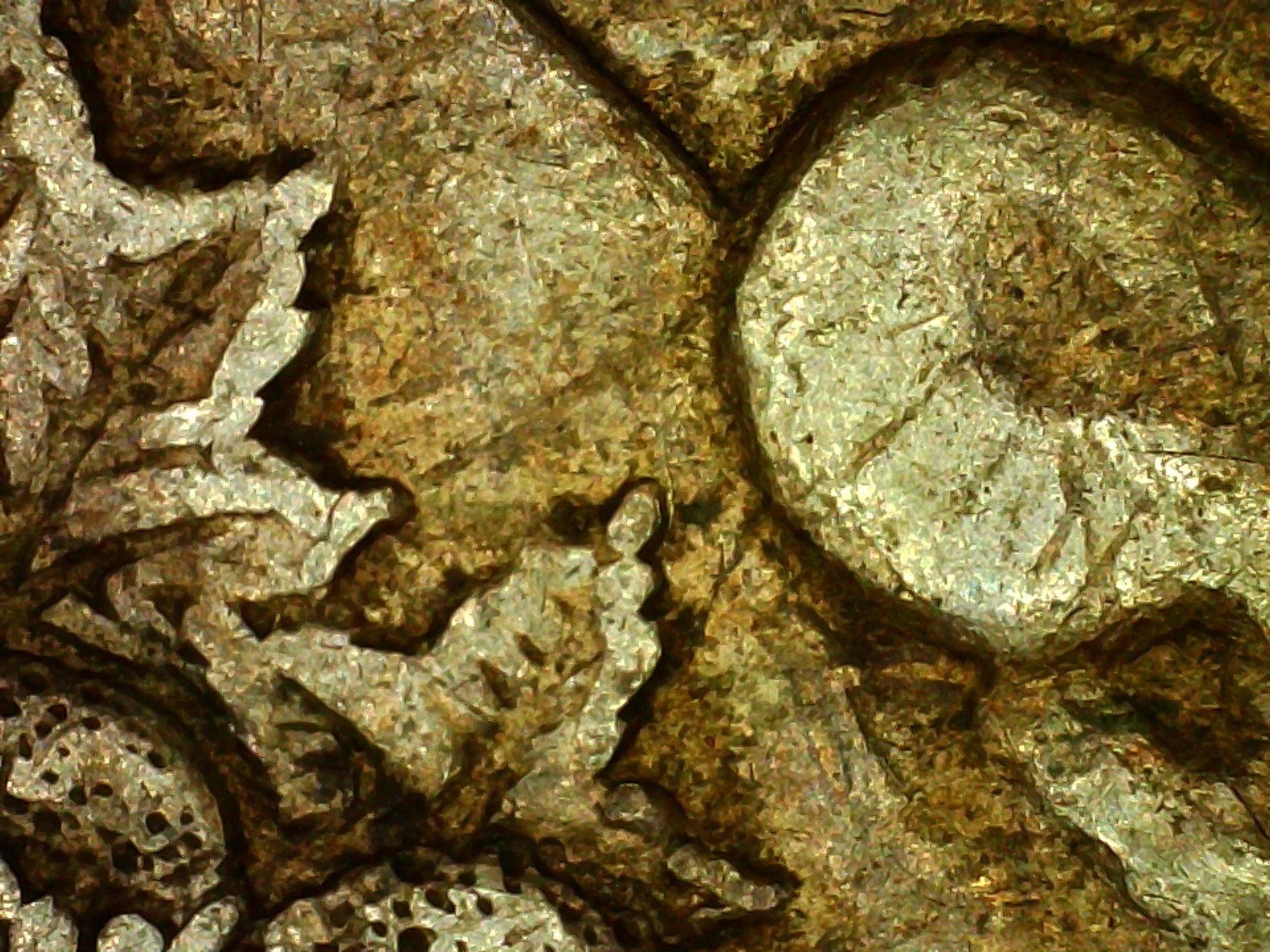 PICA0183.jpg