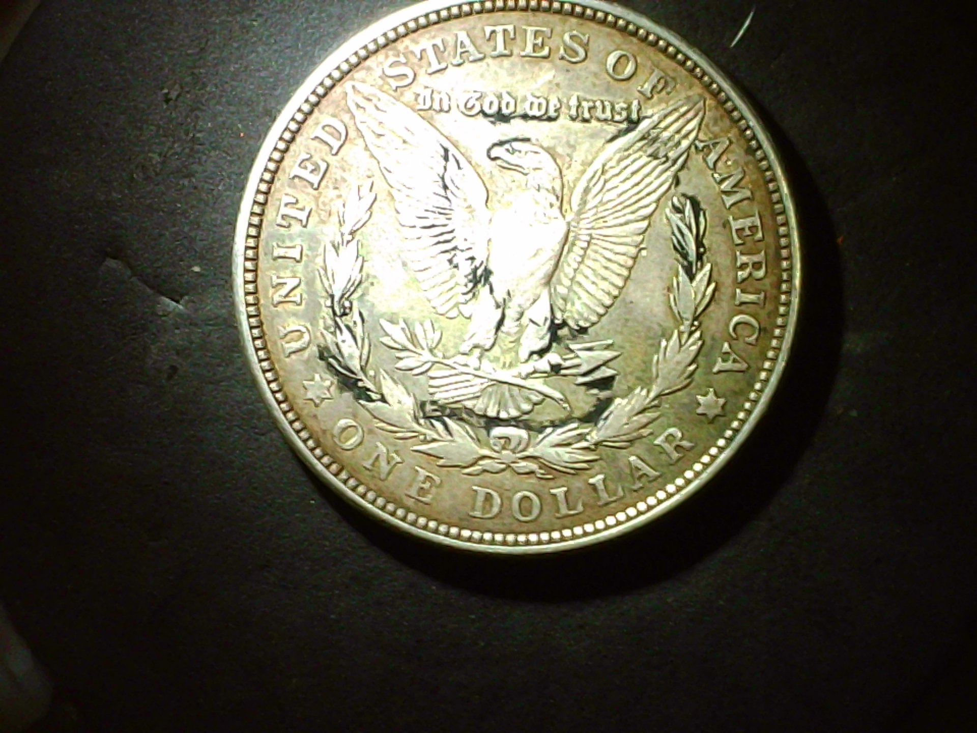 PICA0191.jpg