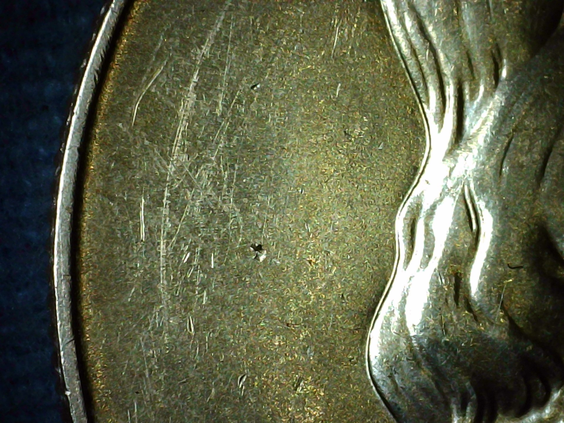 PICA0199.jpg