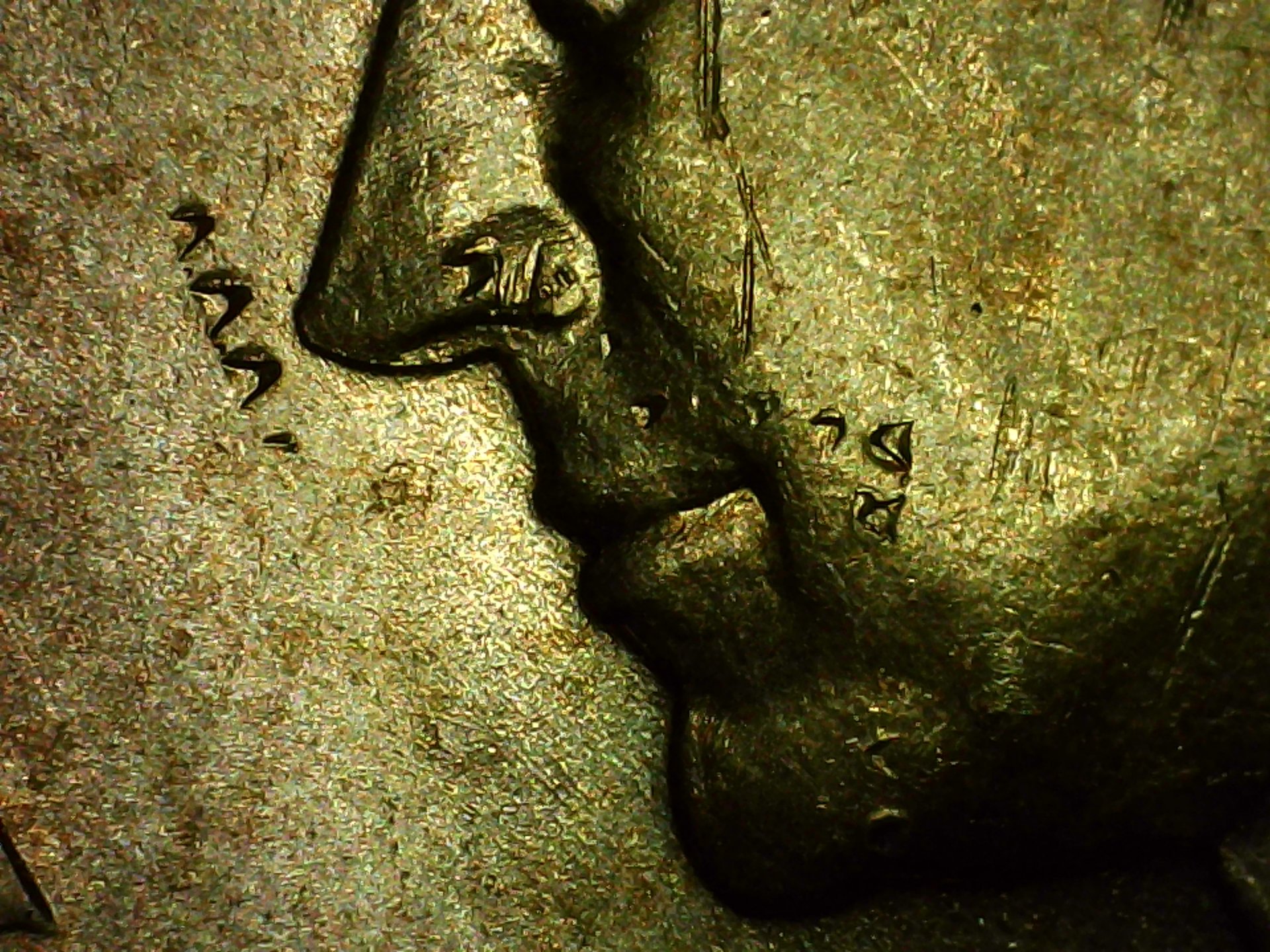 PICA0215.jpg
