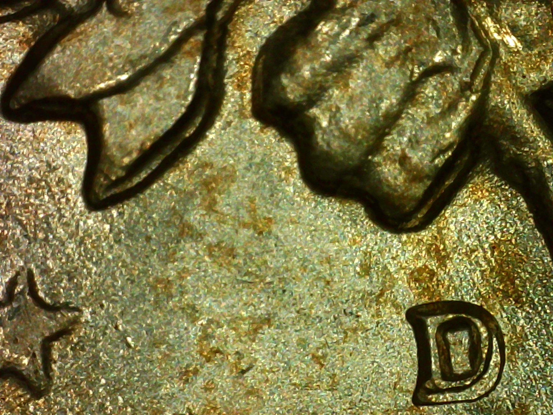 PICA0217.jpg