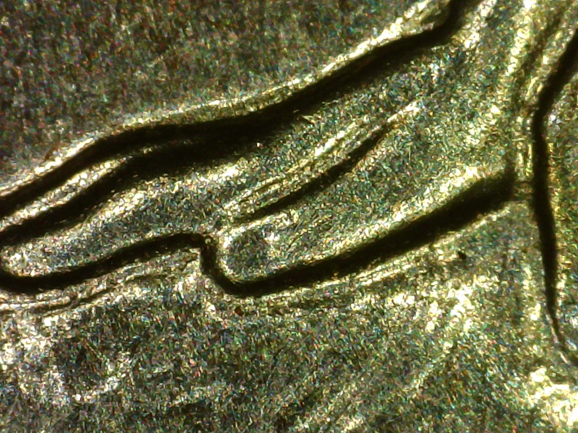 PICA0248.jpg