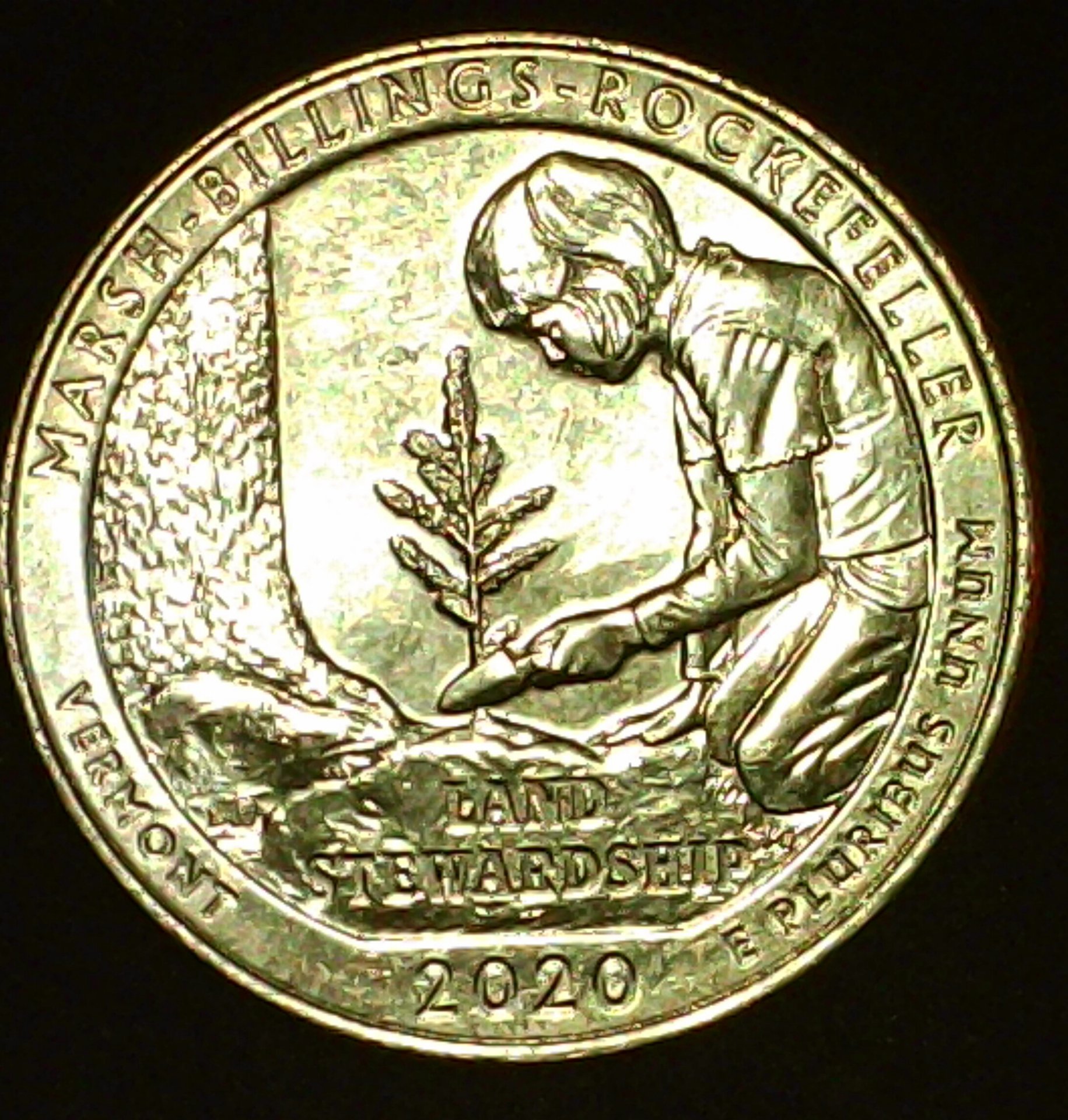 PICA0256-1.jpg