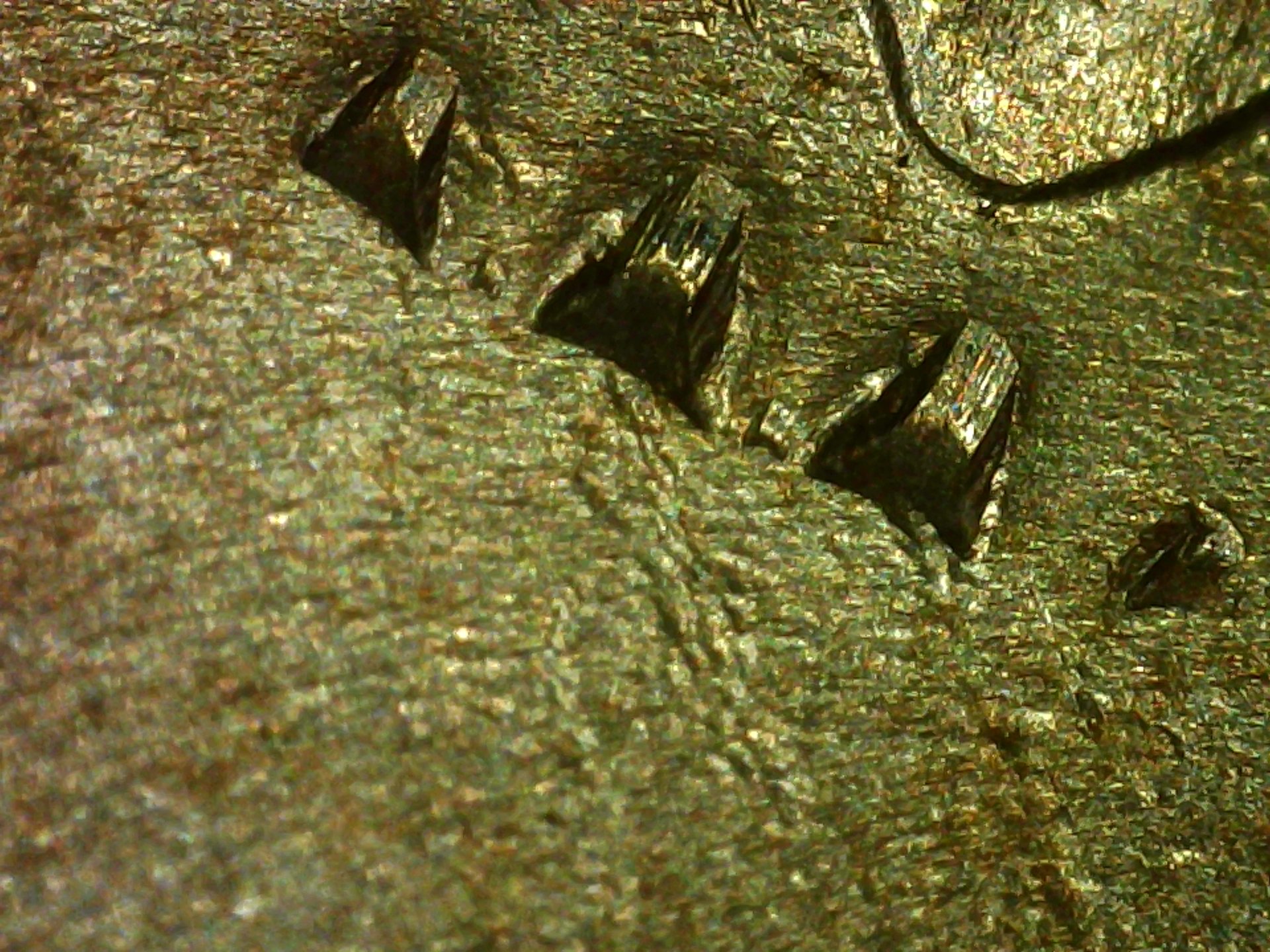 PICA0272.jpg