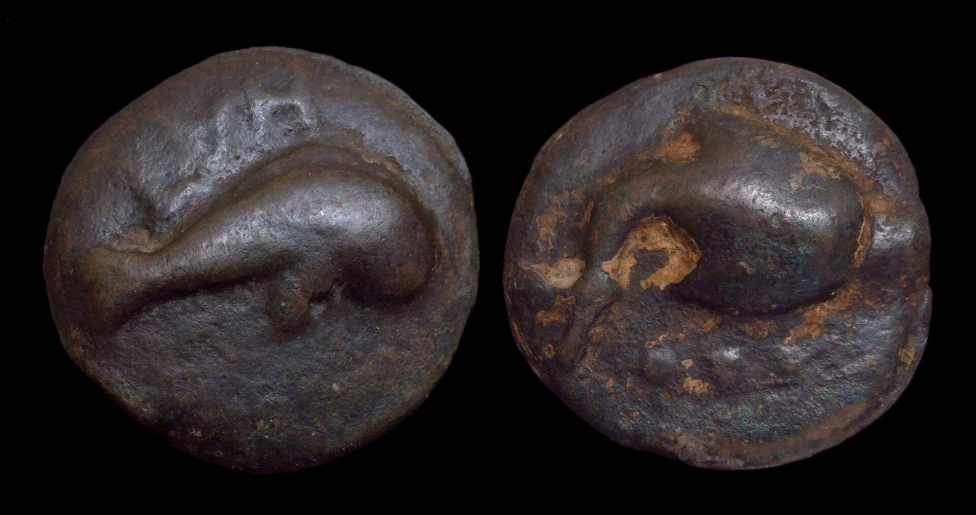 PICENUM Hatria - AE Aes Grave Teruncius Dolphin Stingray 4405.JPG