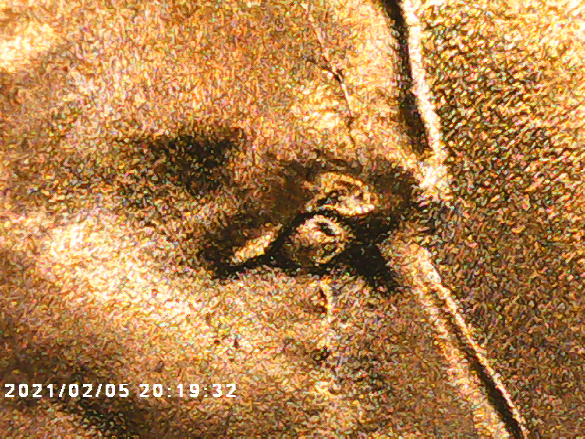 PICT0000.jpg