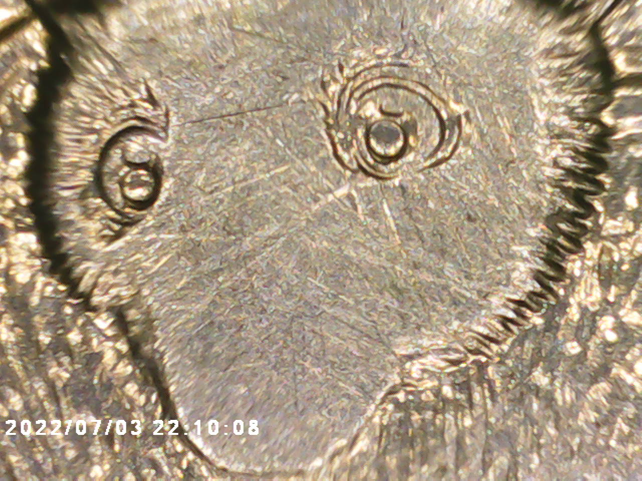 PICT0000.jpg