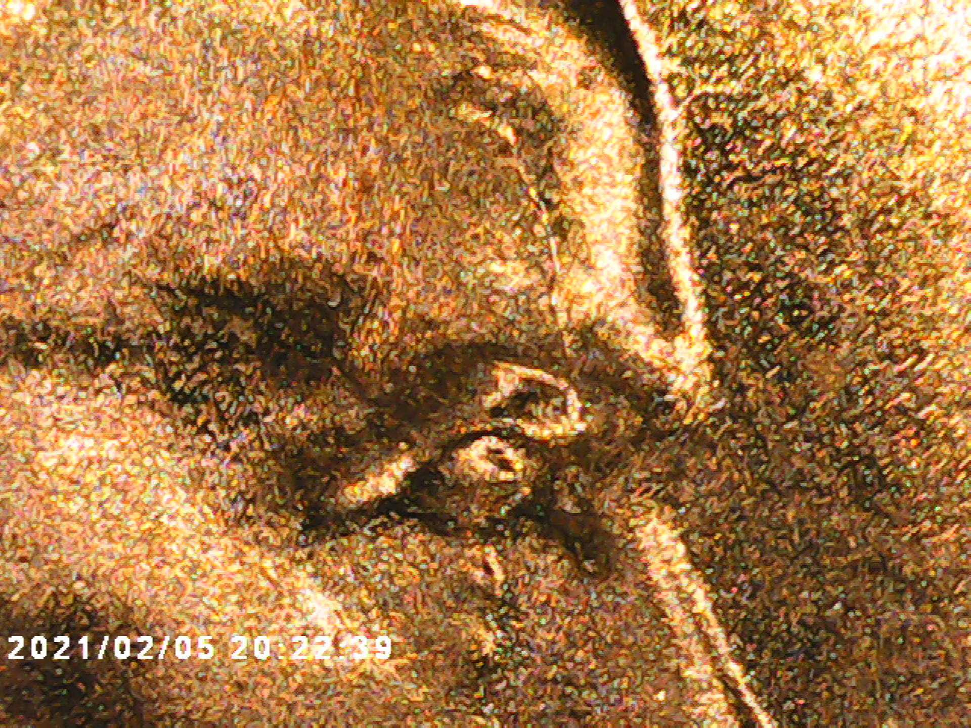 PICT0001.jpg