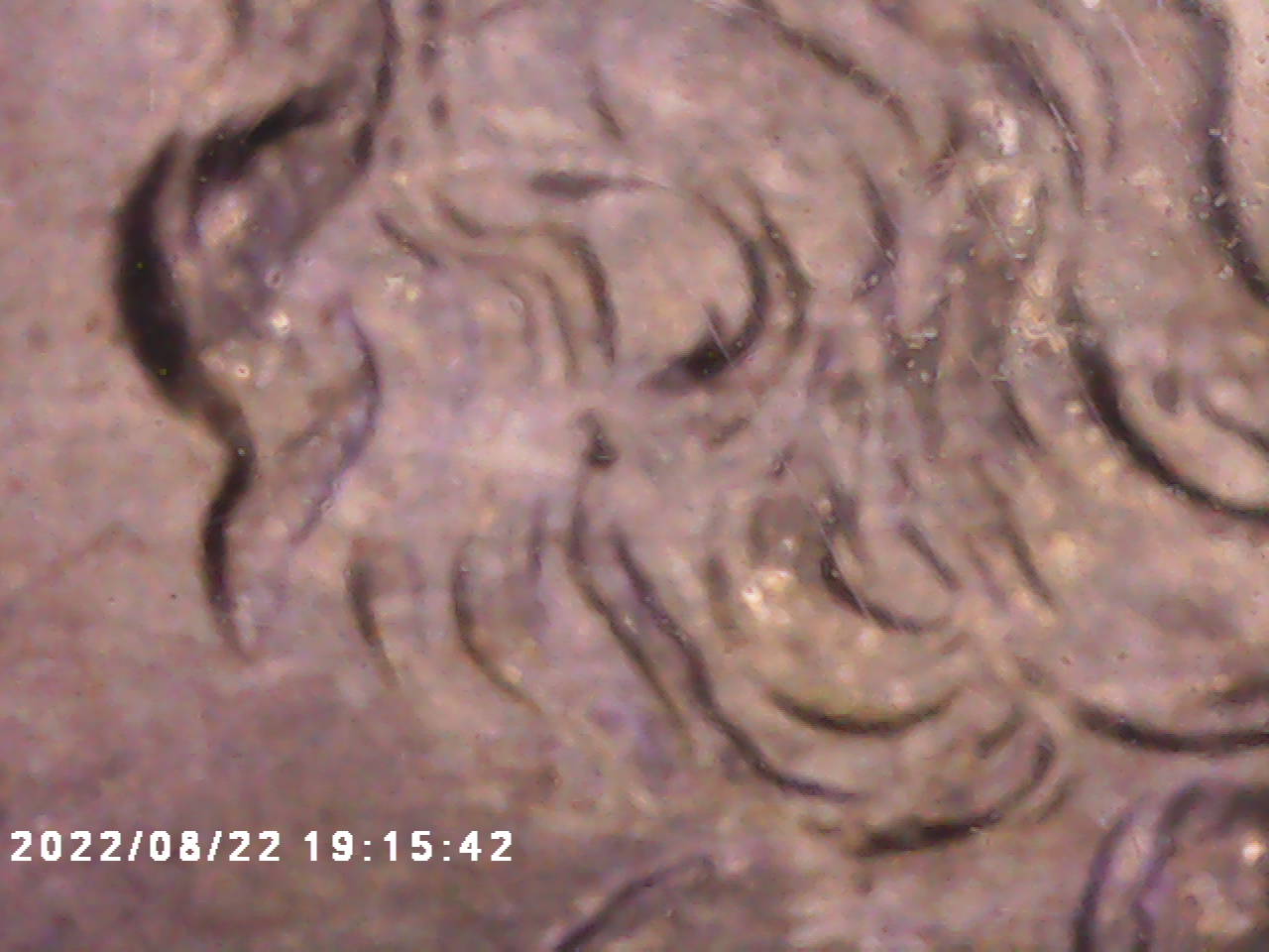 PICT0001.jpg
