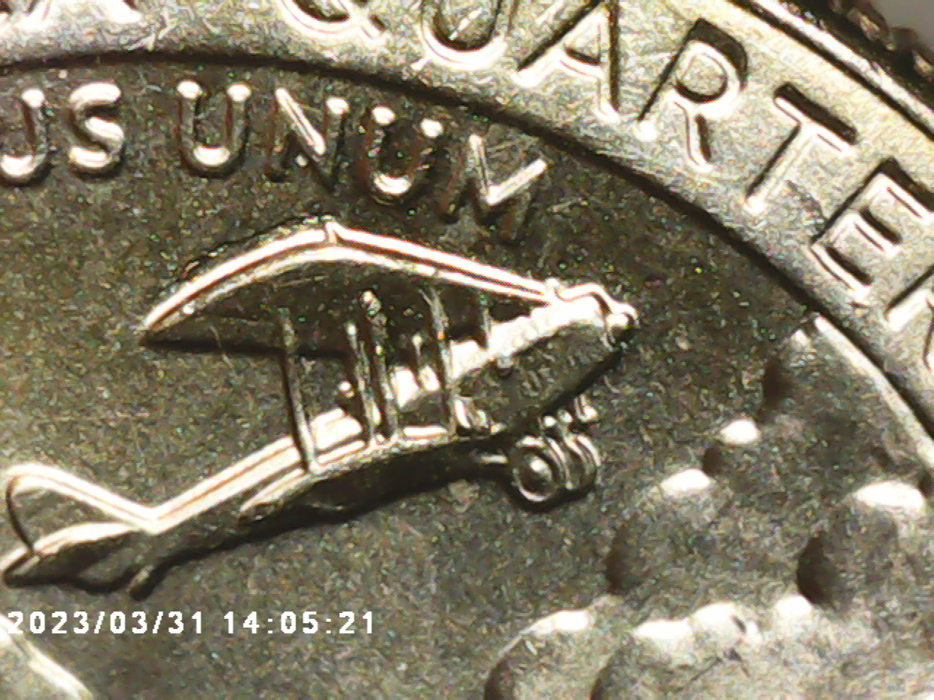PICT0001.jpg