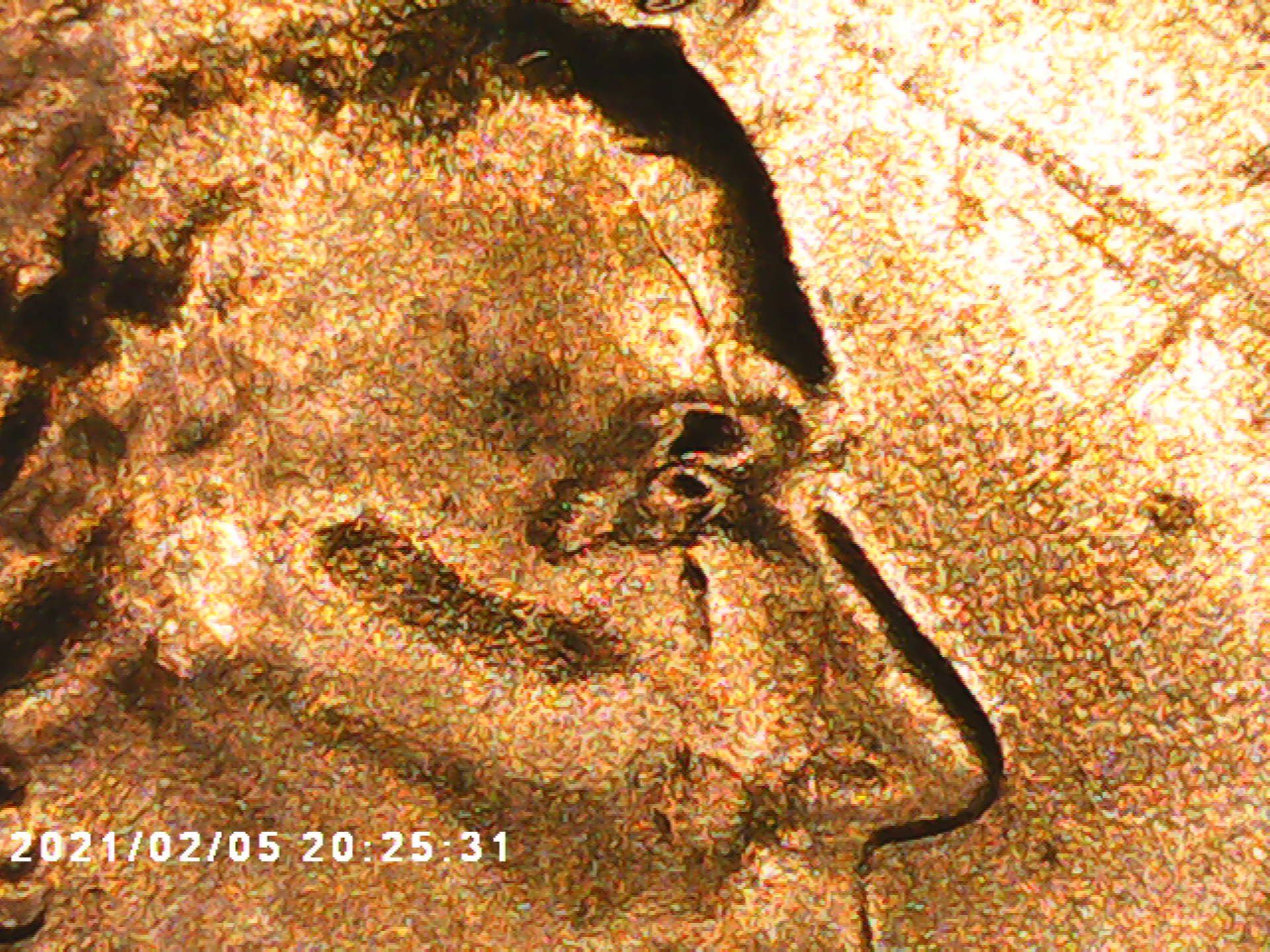 PICT0002.jpg