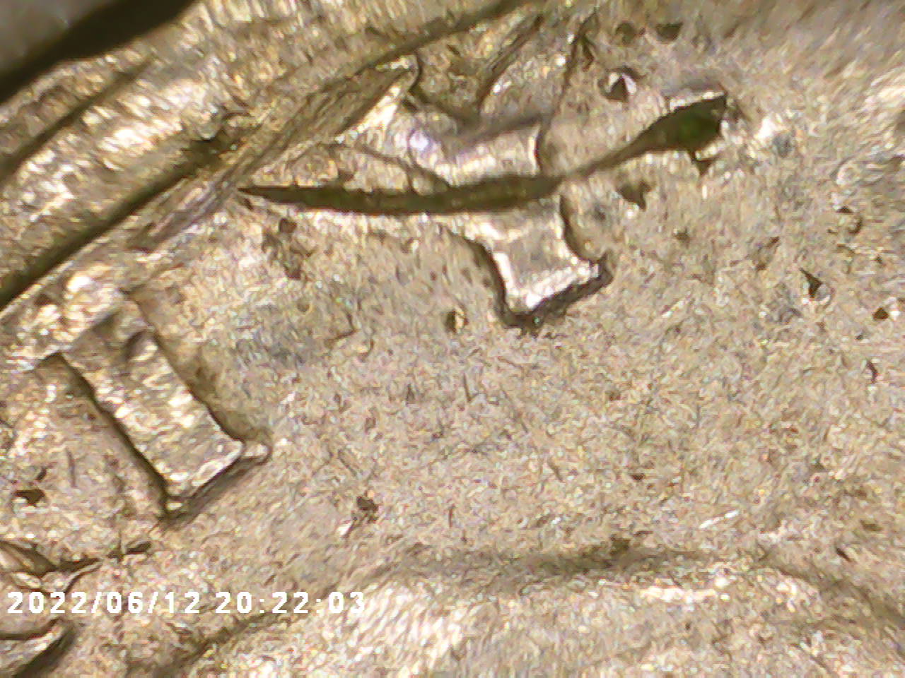 PICT0002.jpg