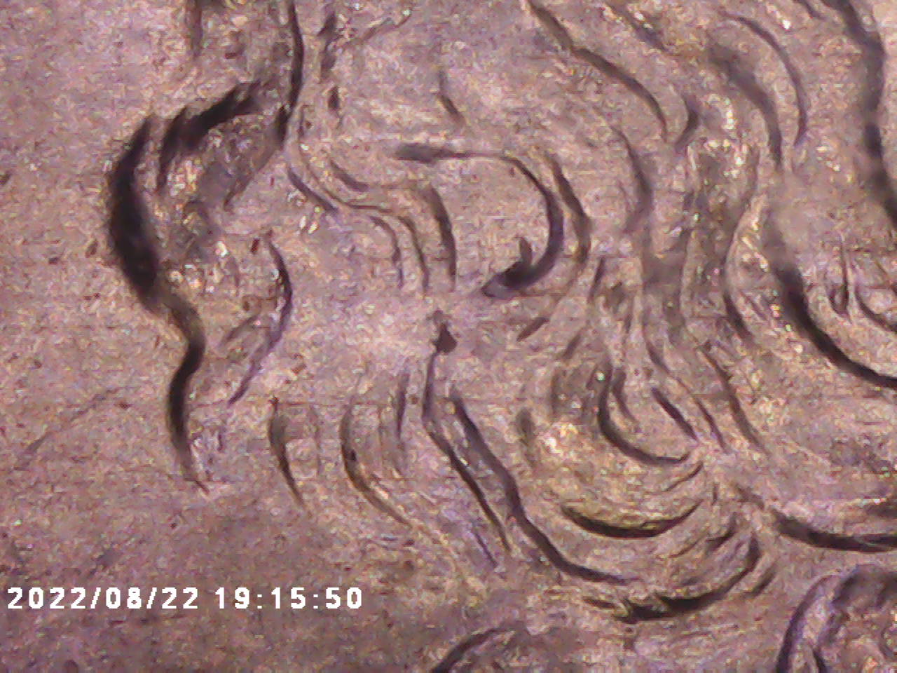 PICT0002.jpg