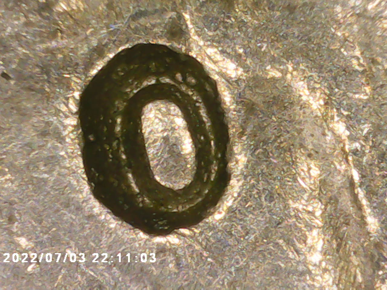 PICT0003.jpg