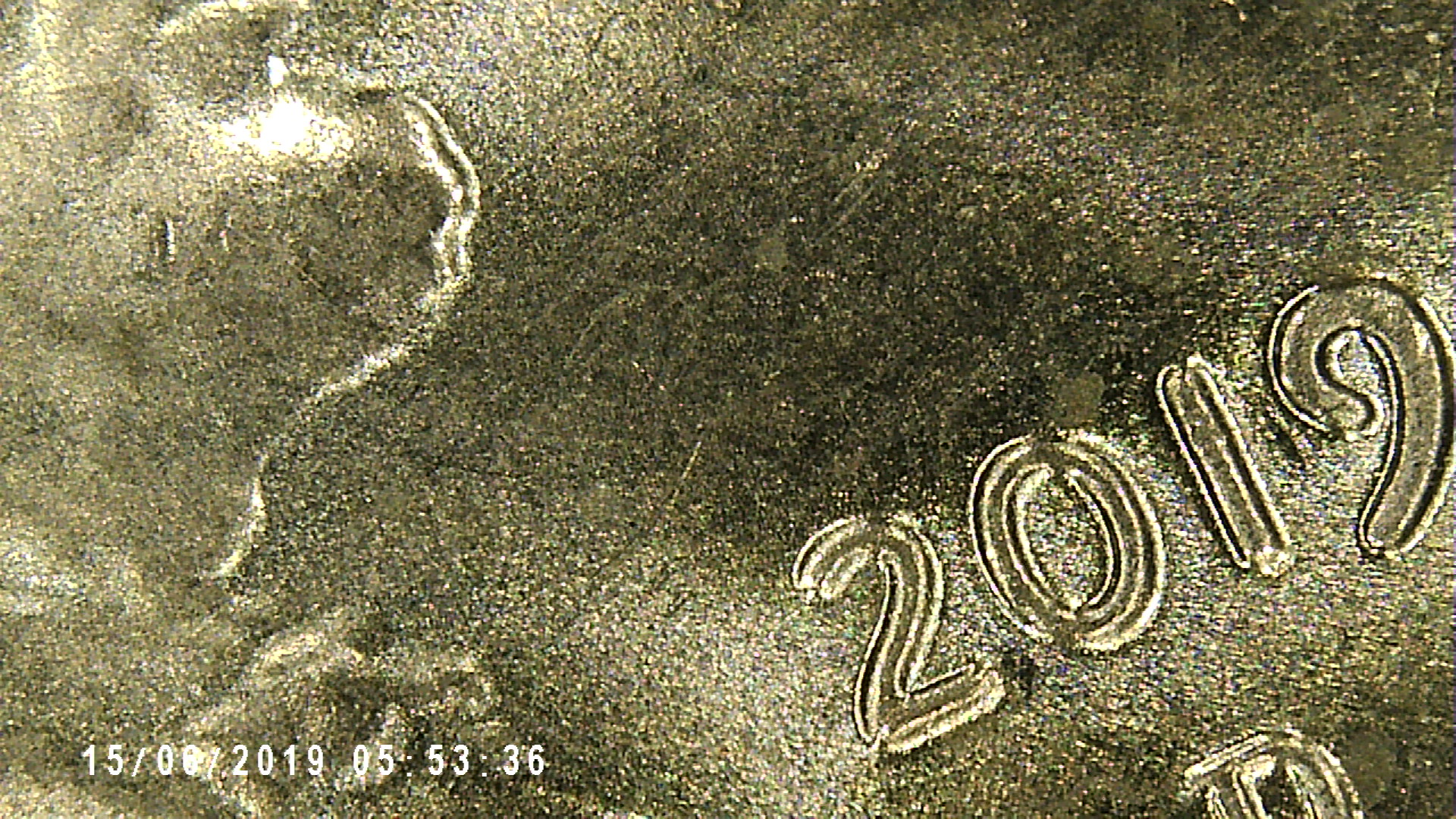 PICT0005.jpg